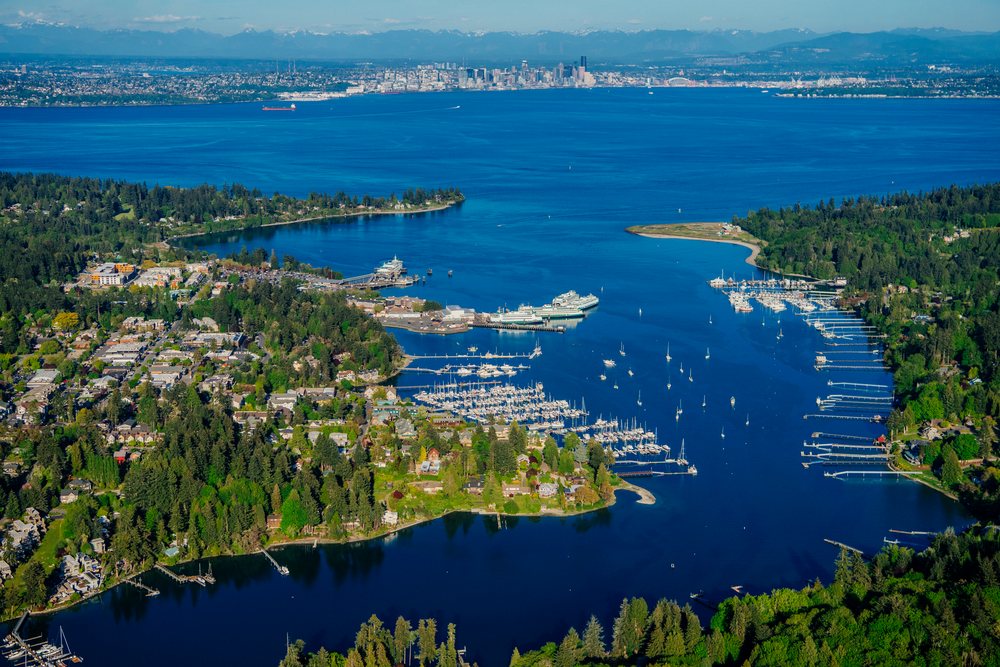 Aerial view of Bainbridge Island harbor with seattle skyline
