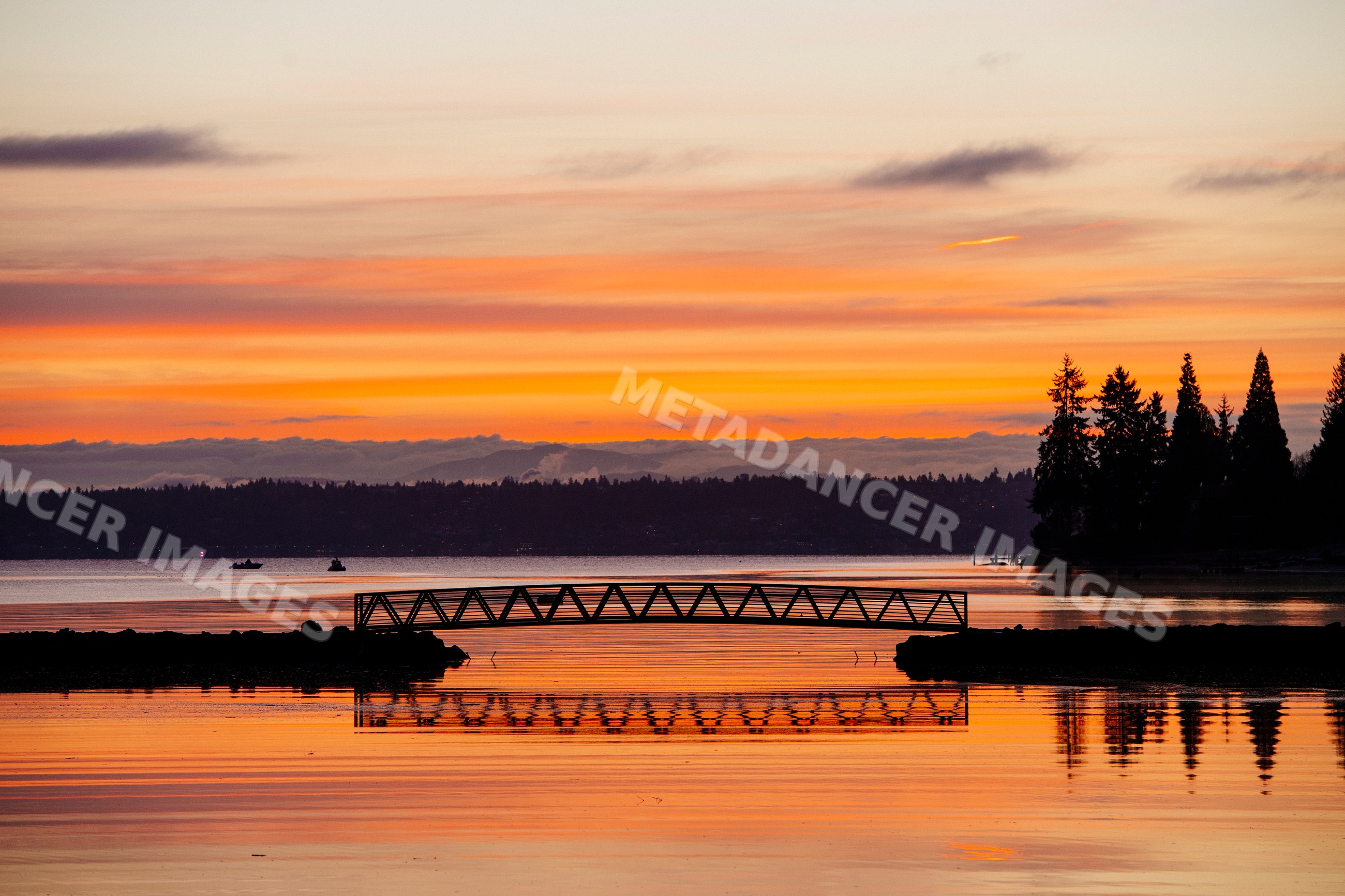 Sunset over bridge and water with silhouetted trees on Bainbridge
