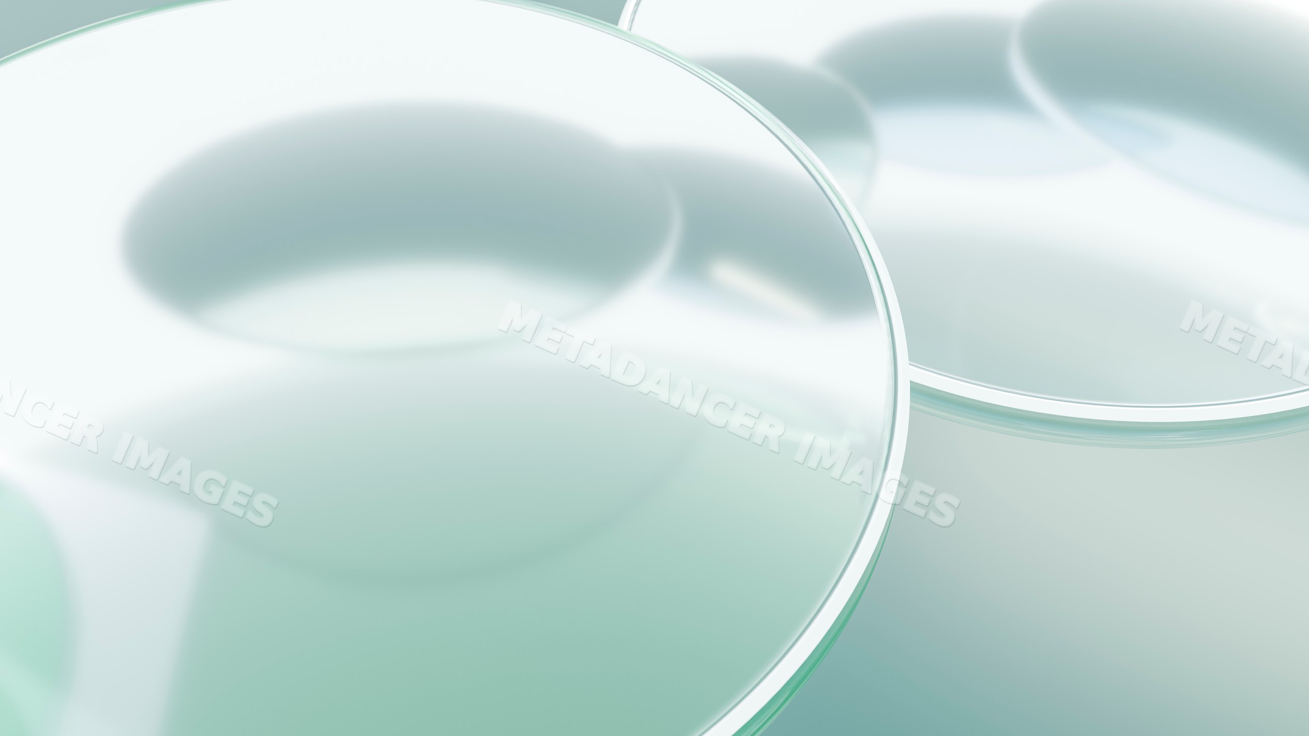 Close-up of transparent glass petri dishes