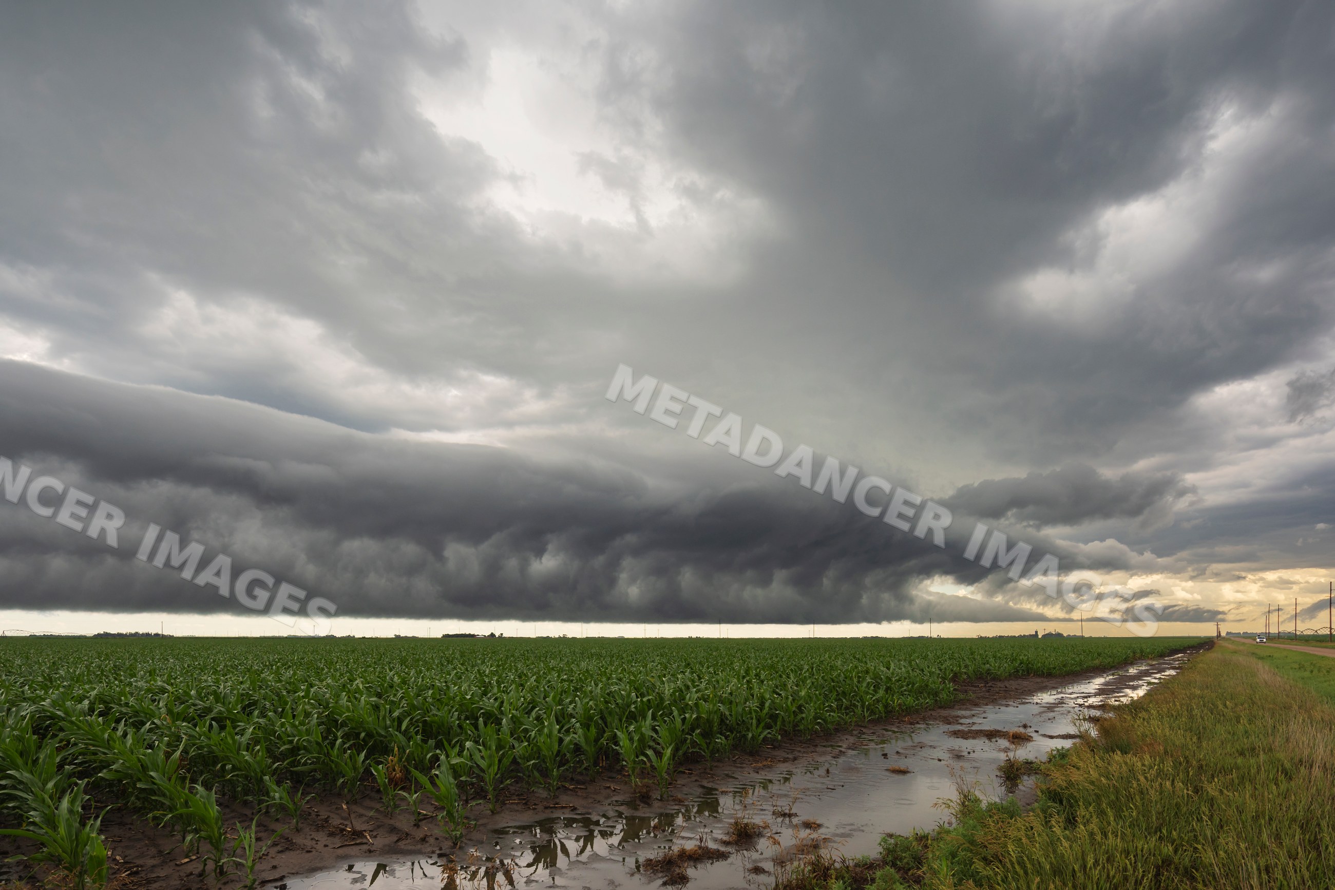 Roll cloud over corn field in funk nebraska stormy sky