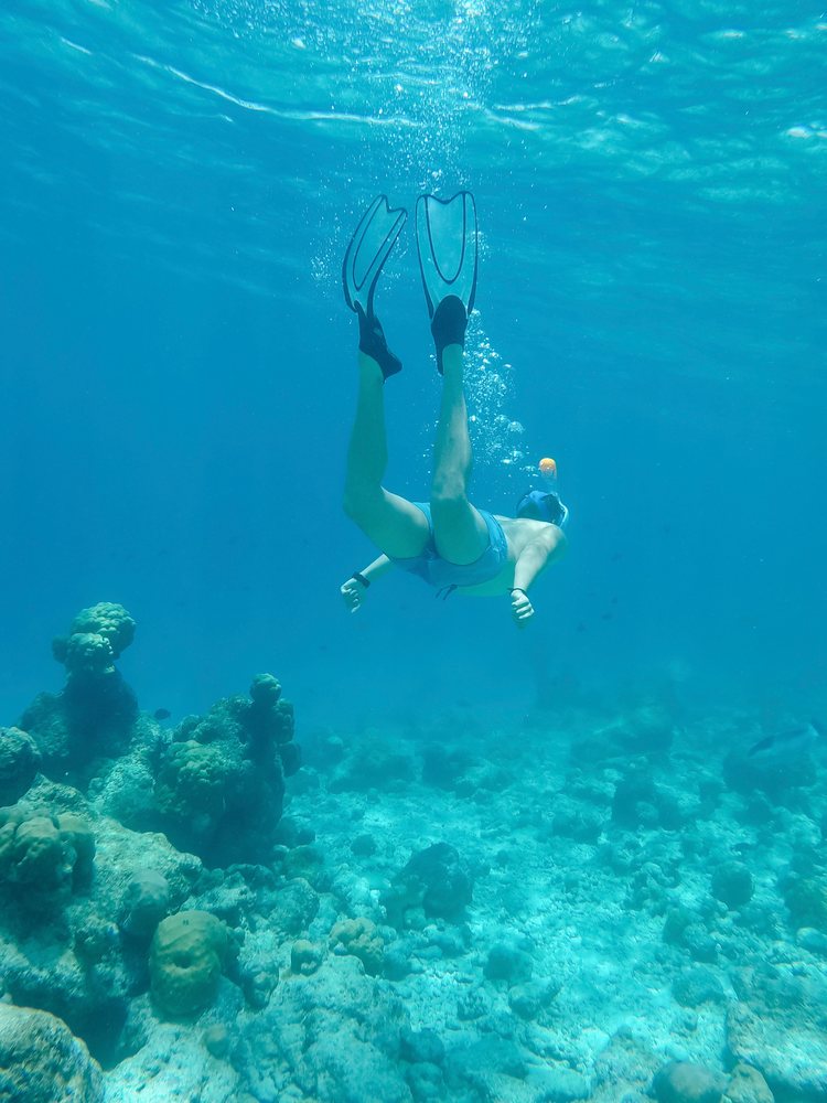 A snorkeler explores the coral reef underwater