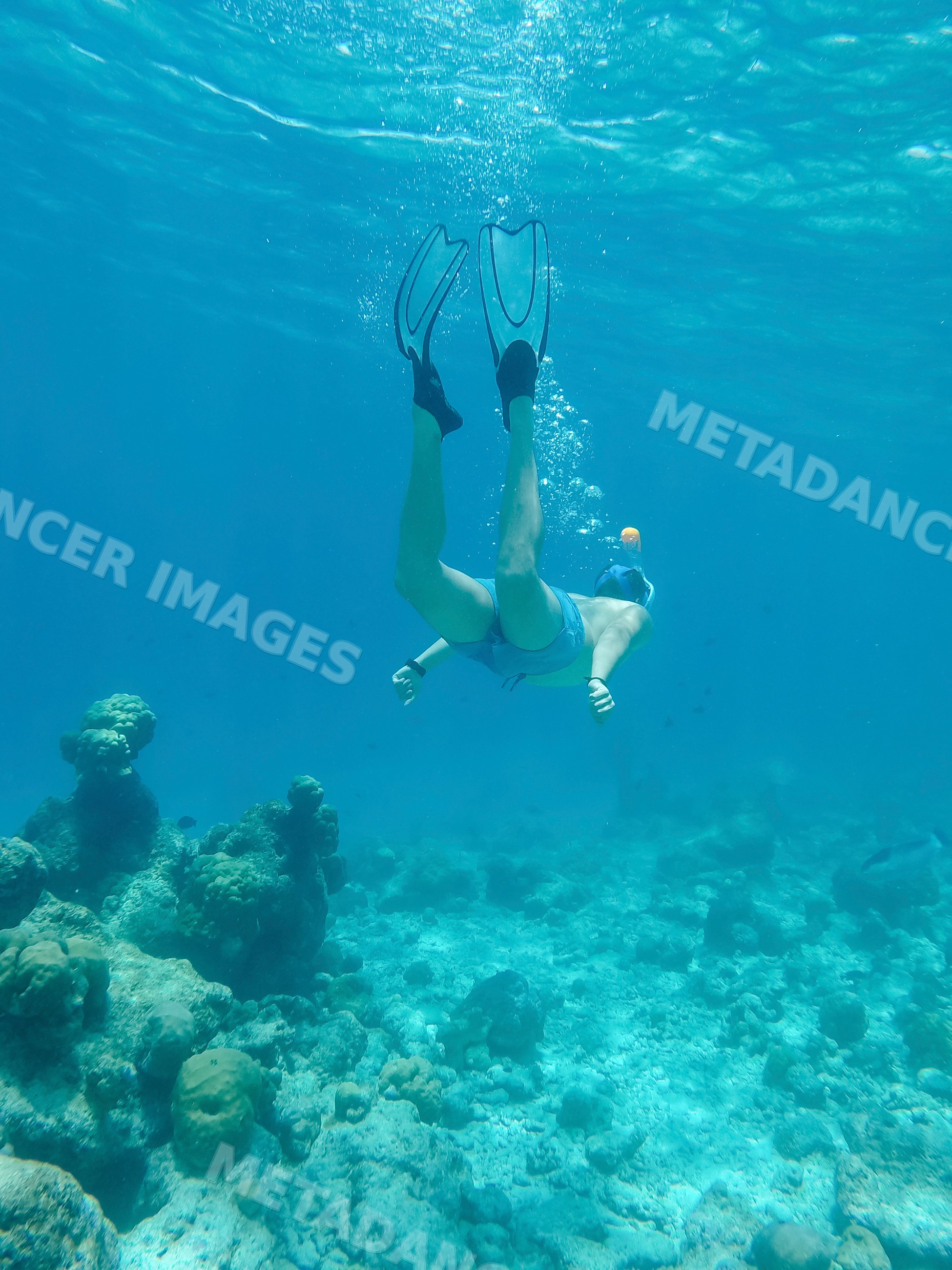 A snorkeler explores the coral reef underwater