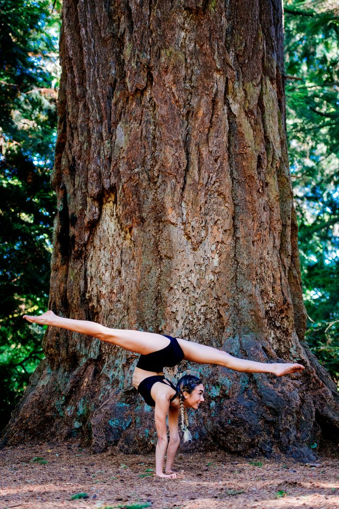 Contortionist white woman performing handstand split