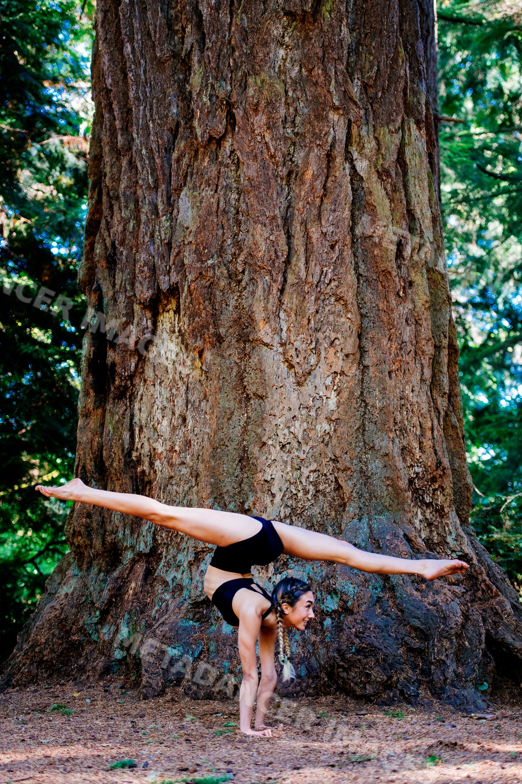 Contortionist white woman performing handstand split
