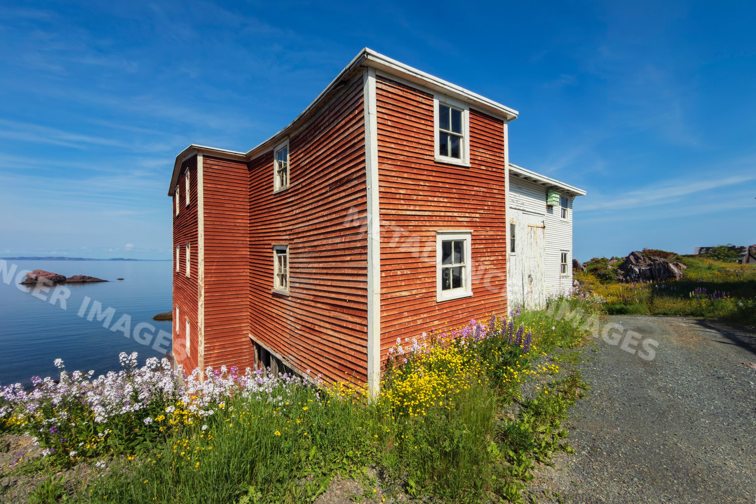 Red Wooden Building by rocky shore with wildflowers