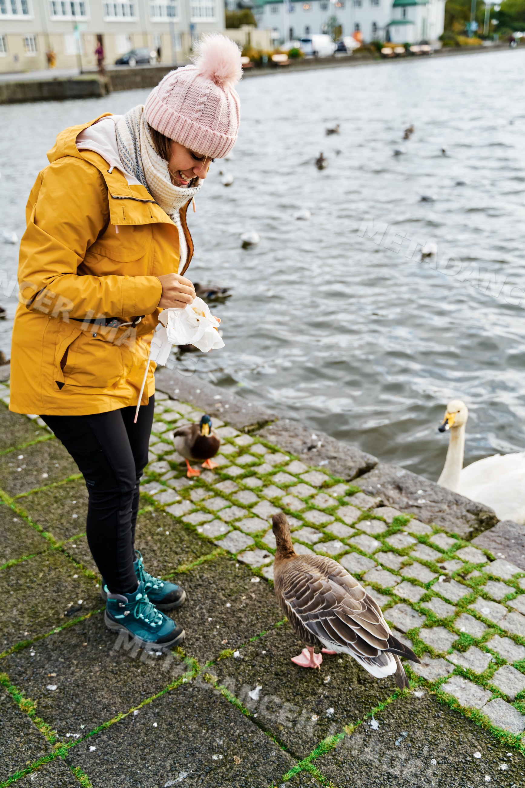 A white woman feeds wild birds by a lake in Iceland on a cold day