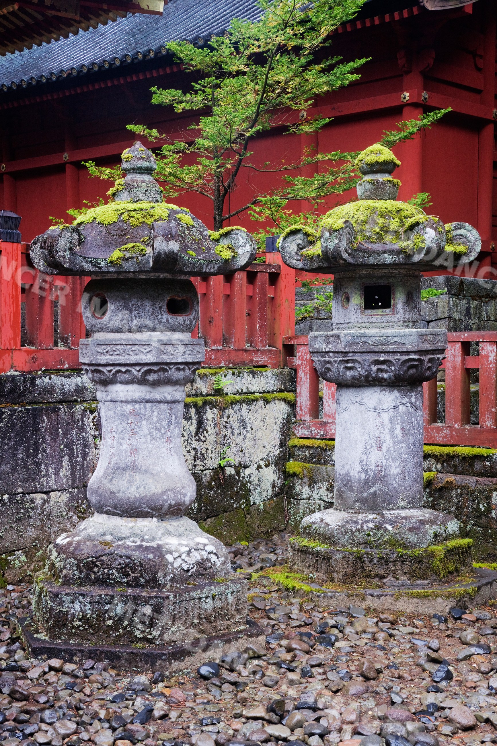 Stone lanterns with moss near red shrine fence at toshogu shrine