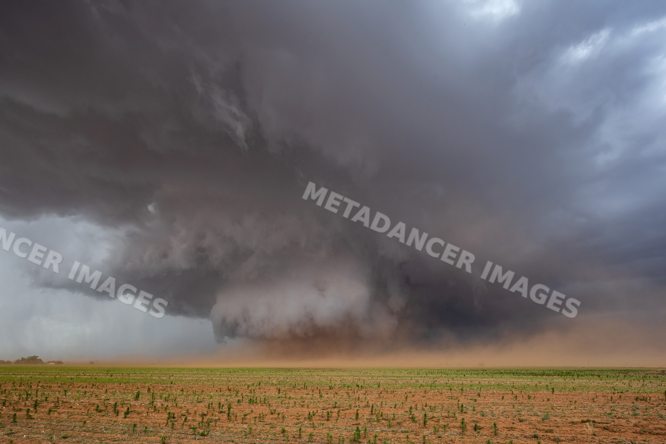Monster Wedge Tornado with dust storm near Morton texas Great Plains