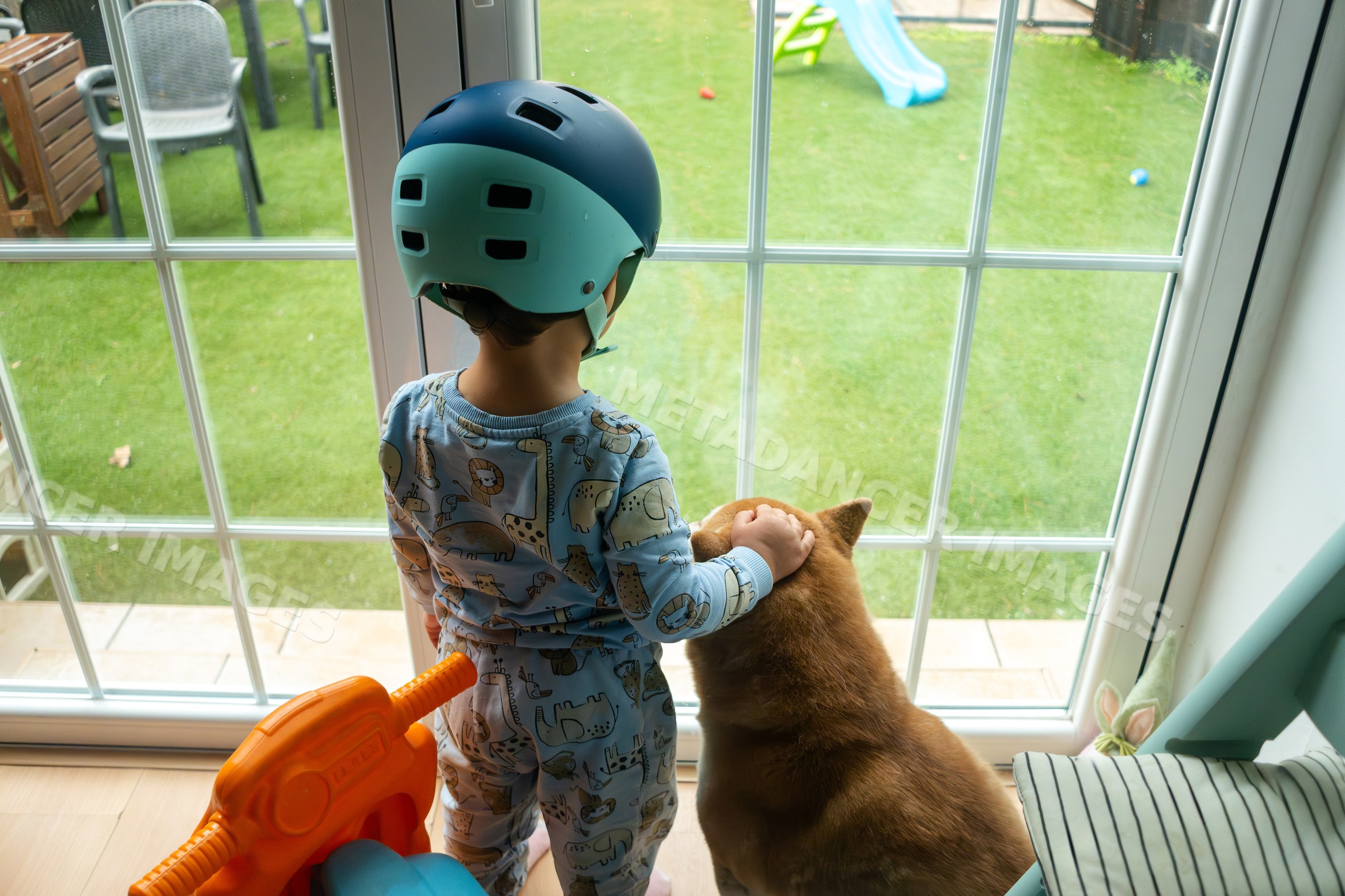A toddler wearing a helmet stands with a dog featuring a white model