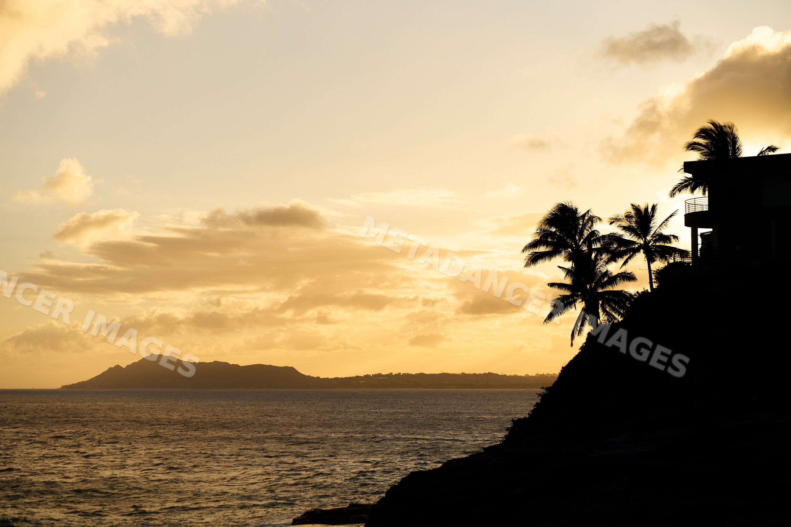 Sunset ocean view with palm tree silhouettes on hill at Oahu Hawaii