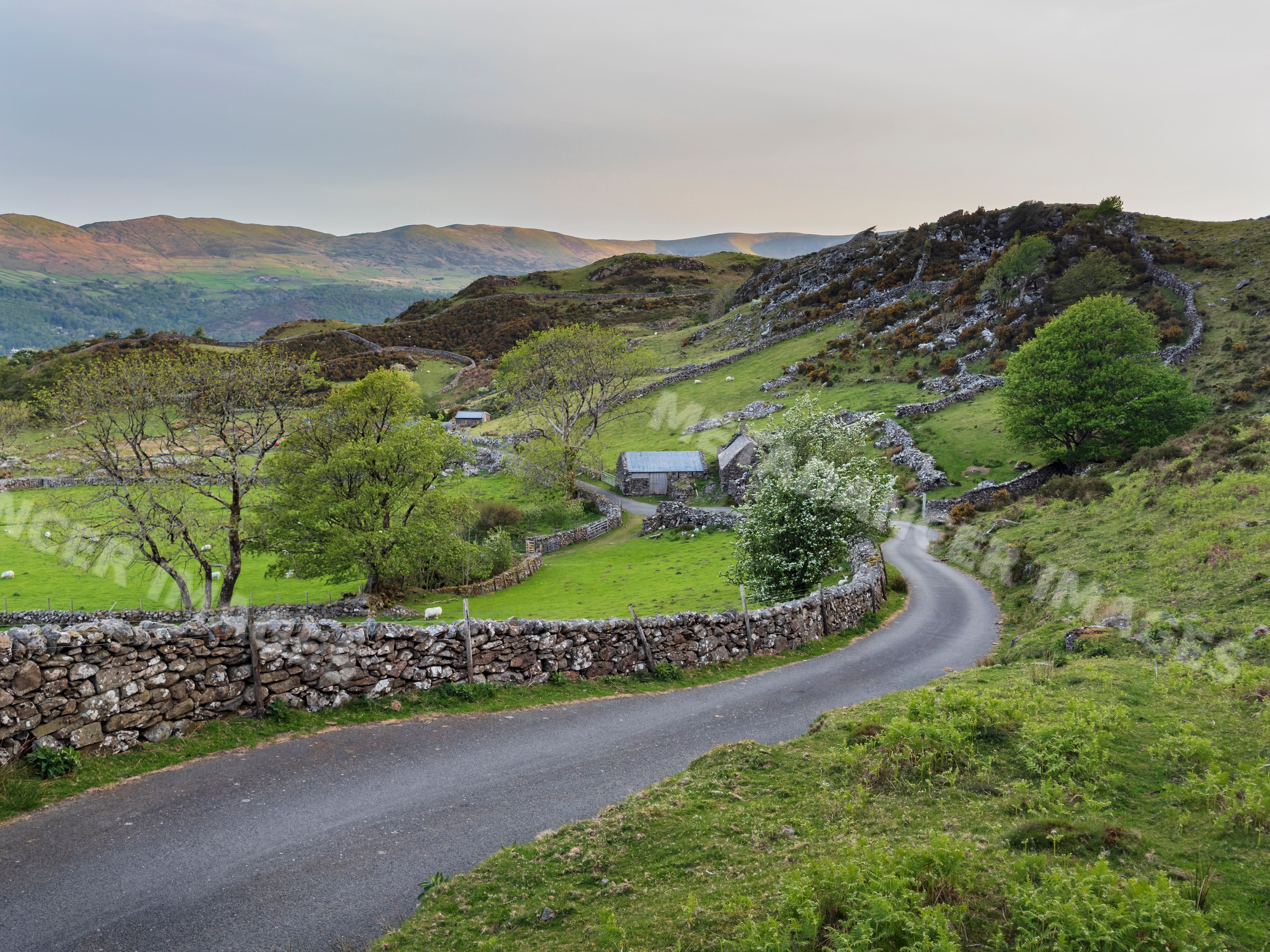 Winding Road and drystone walls in rural llynnau cregennen, Wales