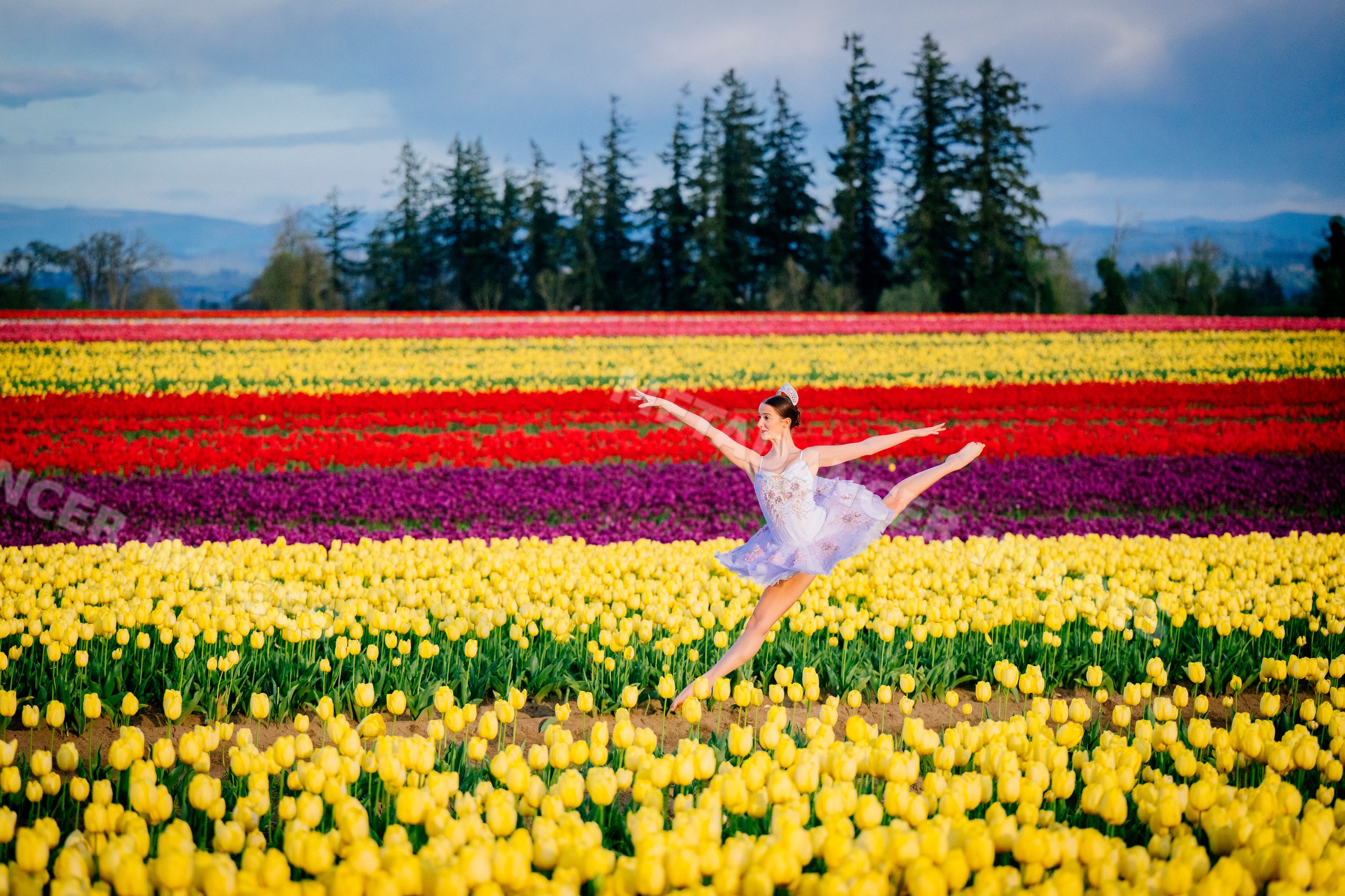 Ballet white dancer posing gracefully in a colorful tulip field