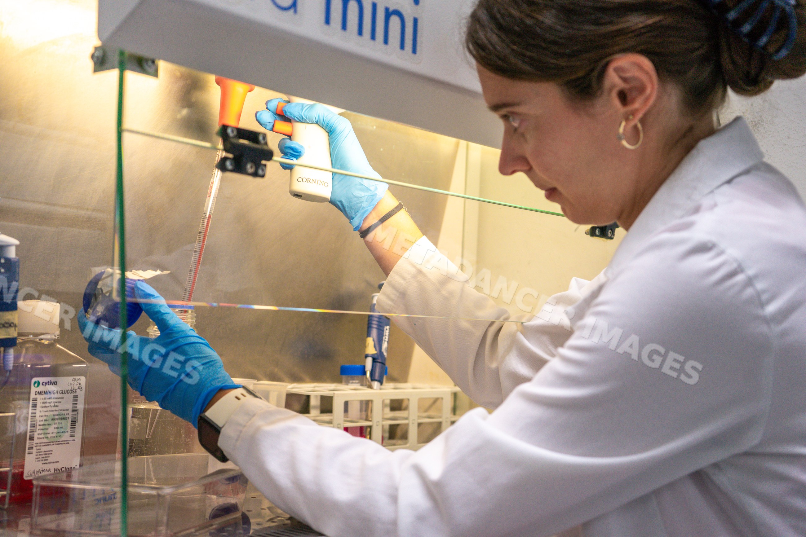 Scientist using pipette in a laboratory with test tubes and research