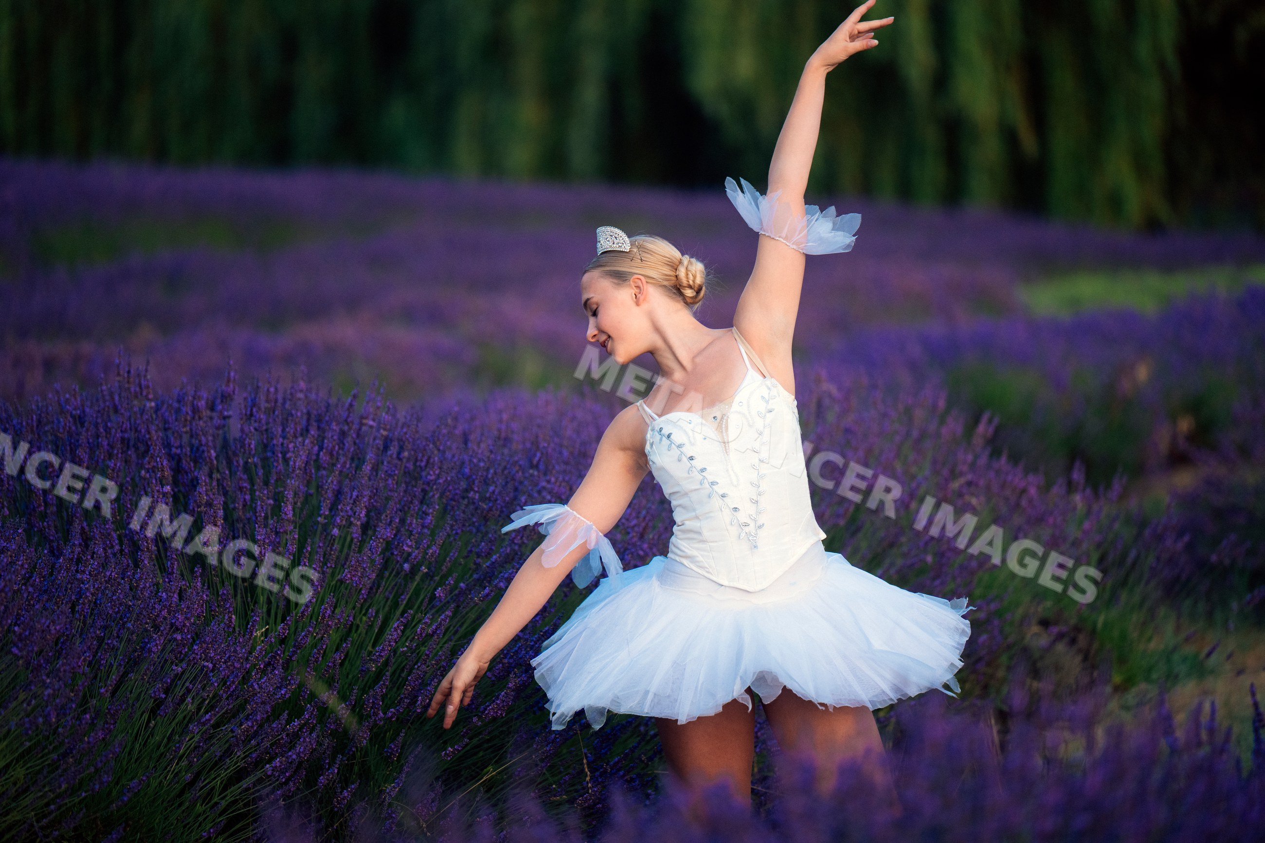A ballerina dances gracefully in a lavender field in WA, USA