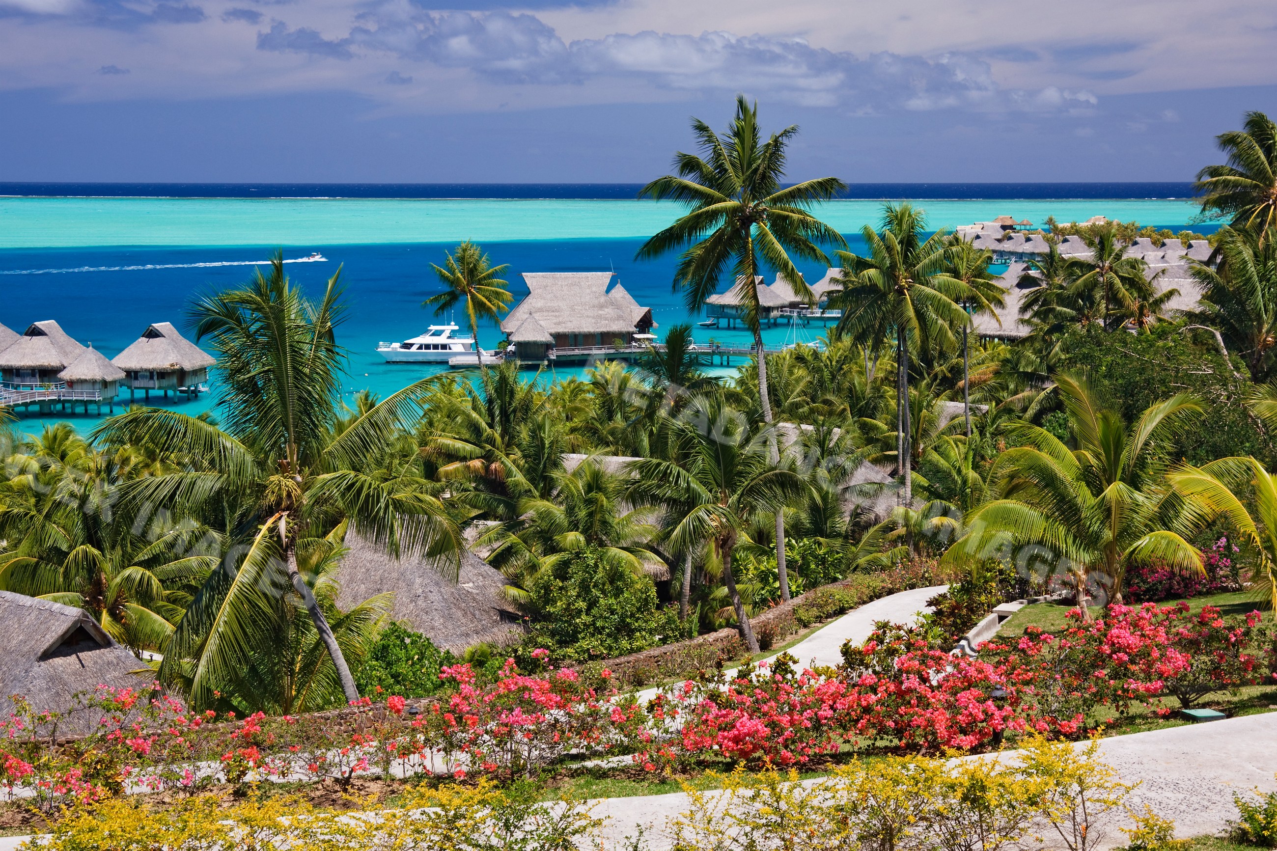 Resort featuring overwater bungalows with thatched roofs and palm