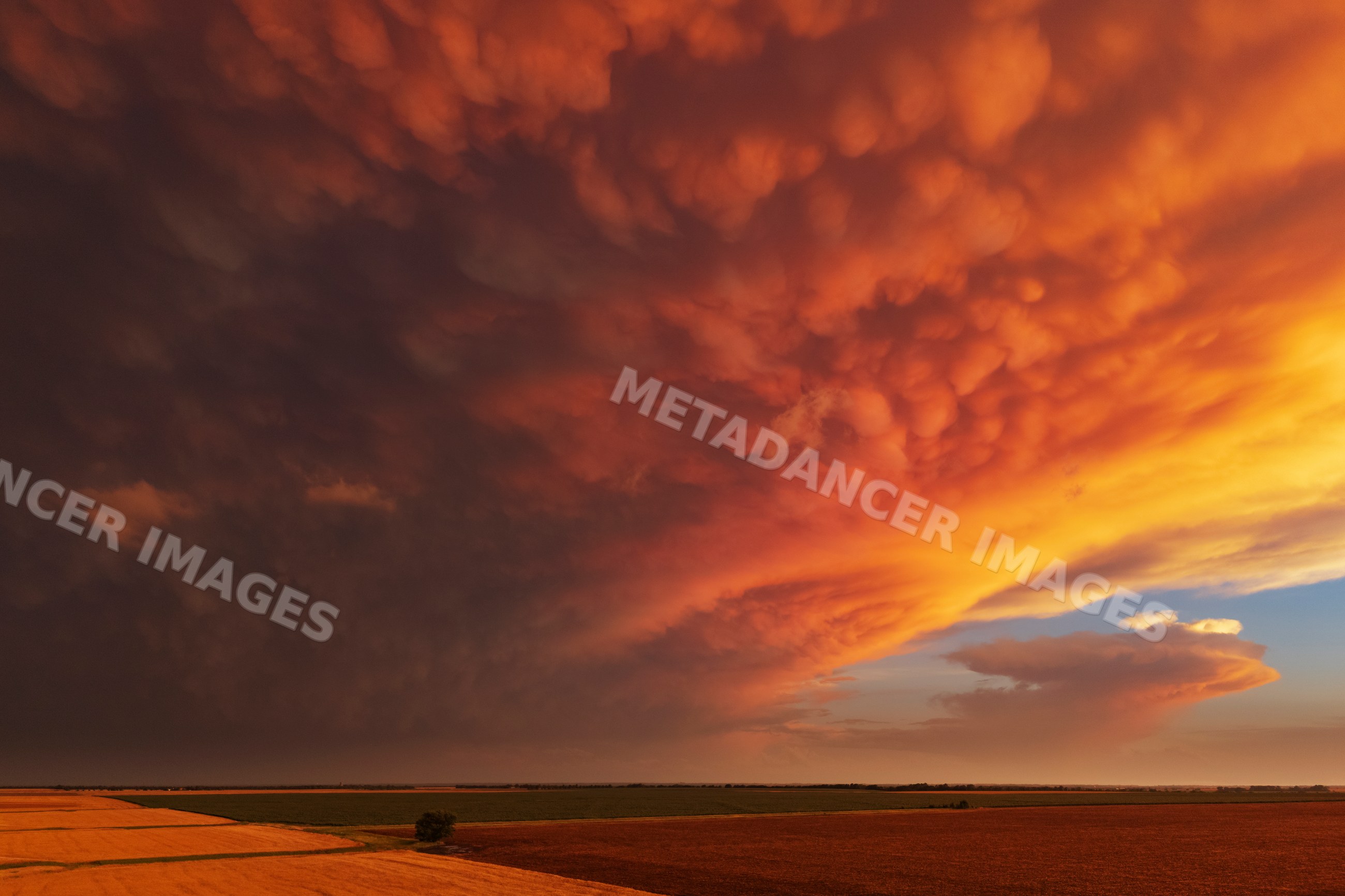 Mammatus clouds glowing at Sunset over kansas farmland
