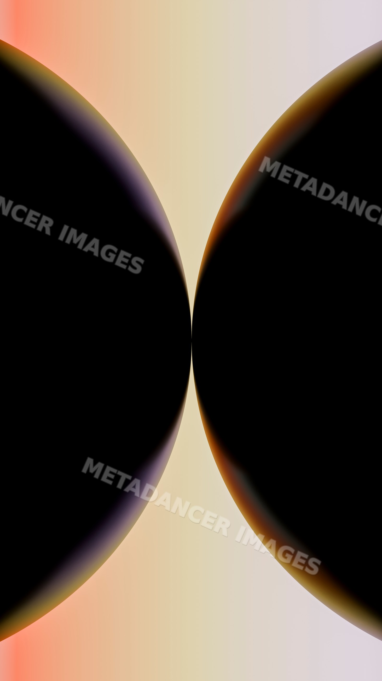 Abstract symmetrical digital illustration with black curves