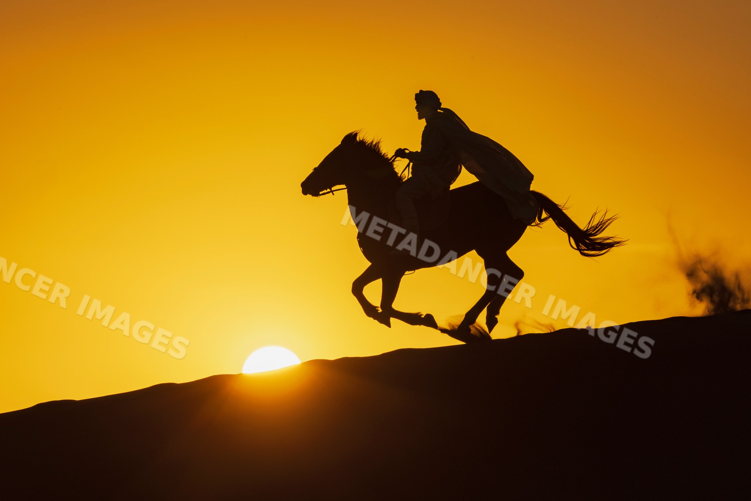 Berber Horseman riding horse at desert Sunset in merzouga Morocco