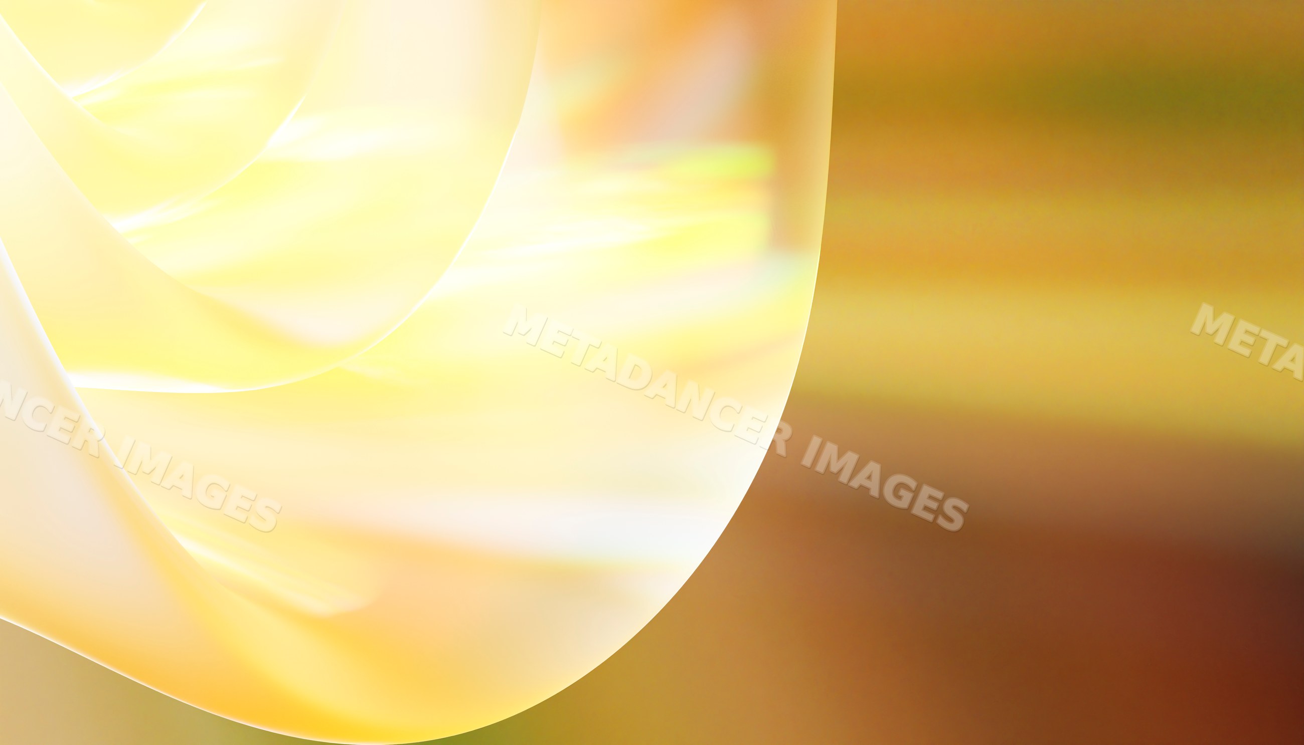 Abstract image of soft glowing yellow and golden curved shapes