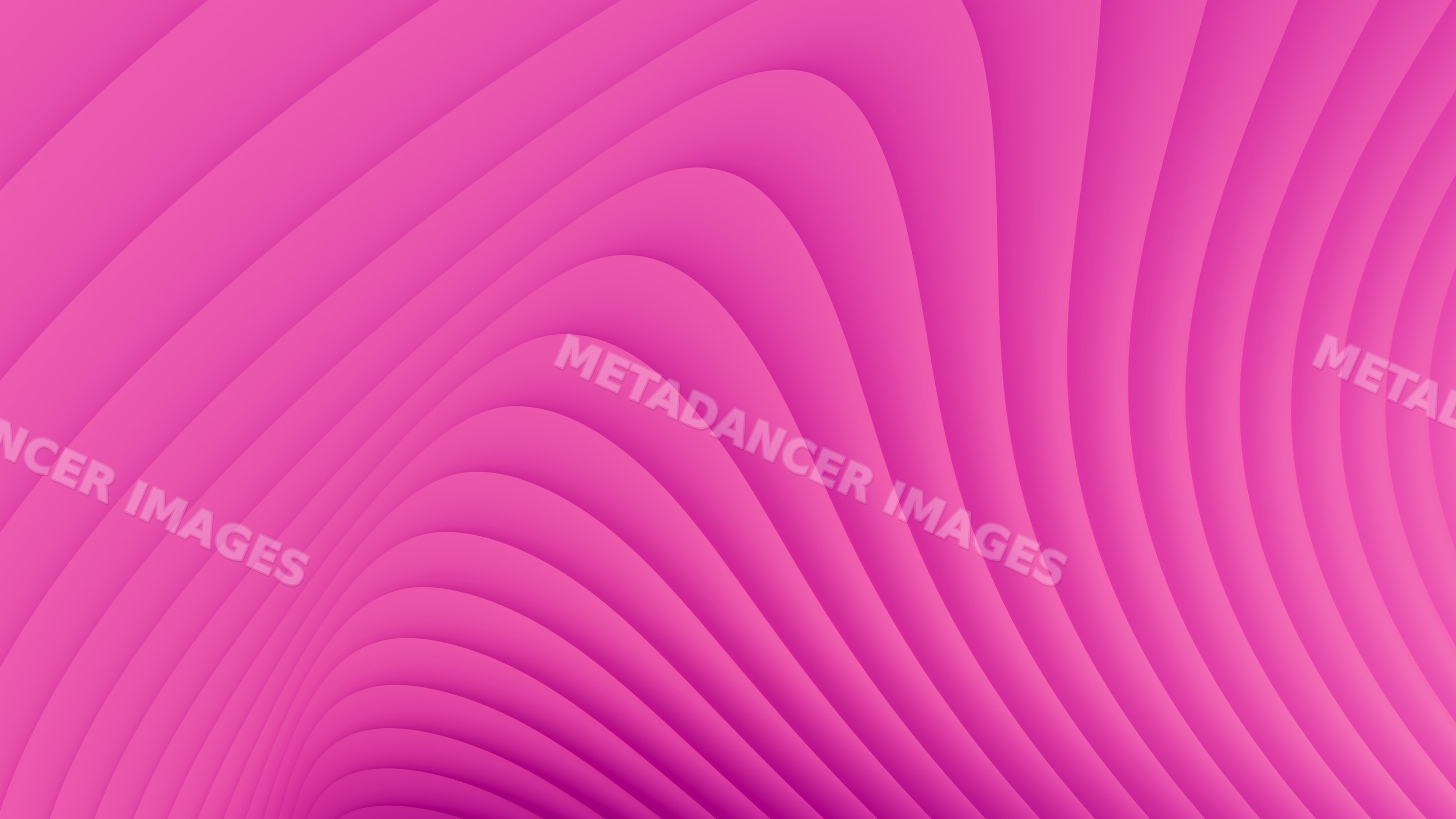 Abstract flowing pink curved waves background pattern