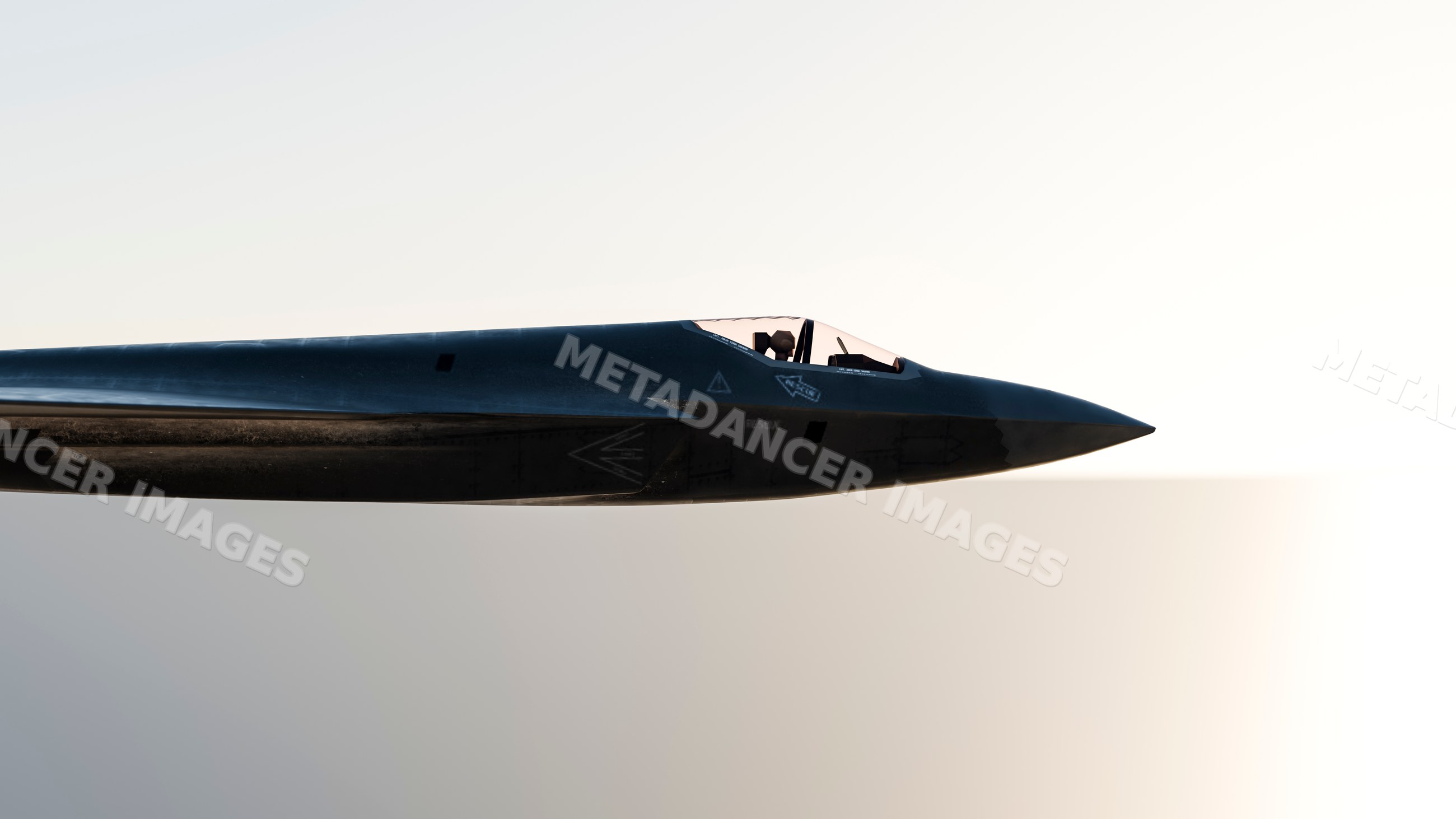 Stealth fighter jet profile showing cockpit and nose