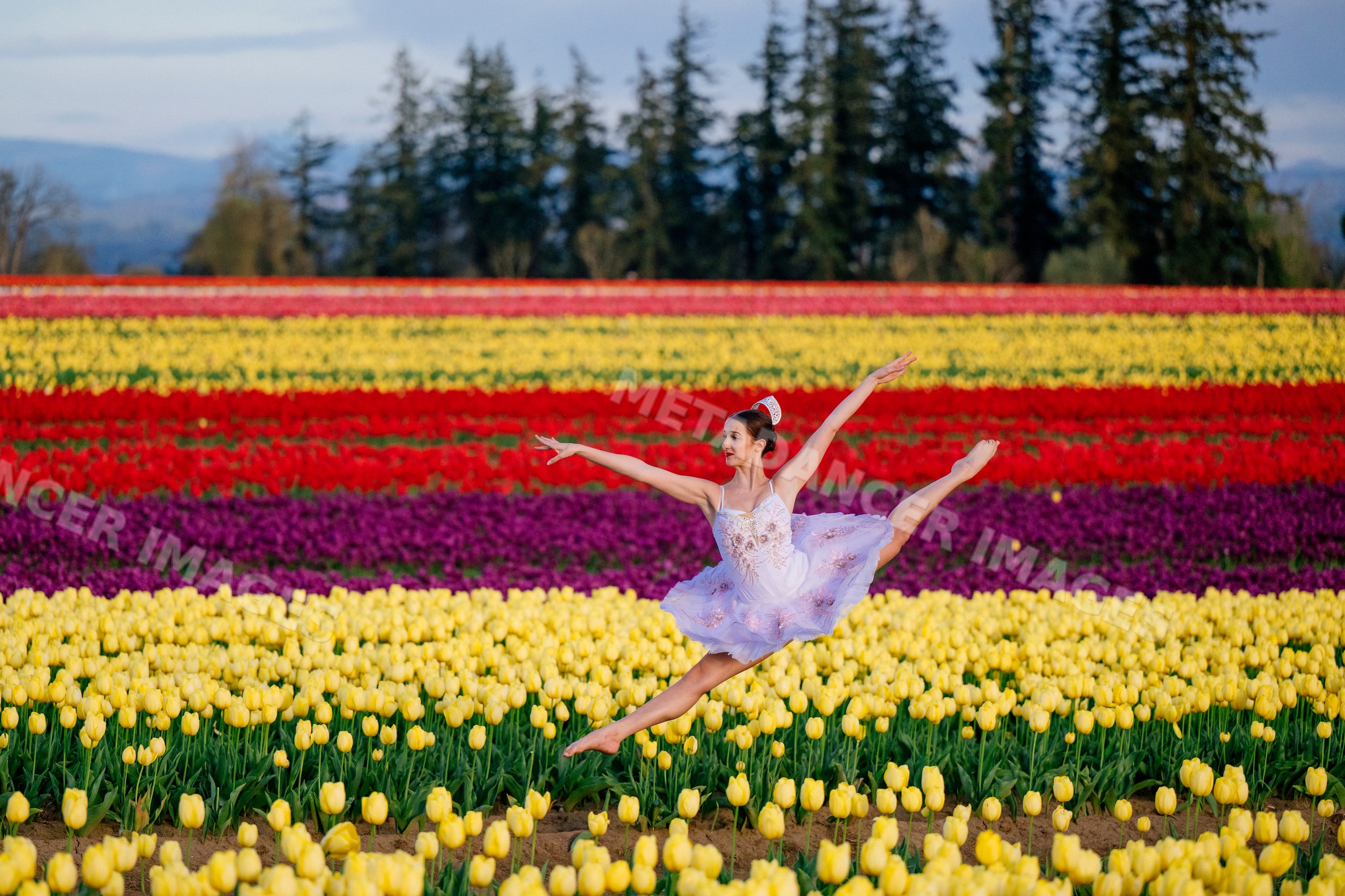 Ballet white dancer leaping in colorful tulip field