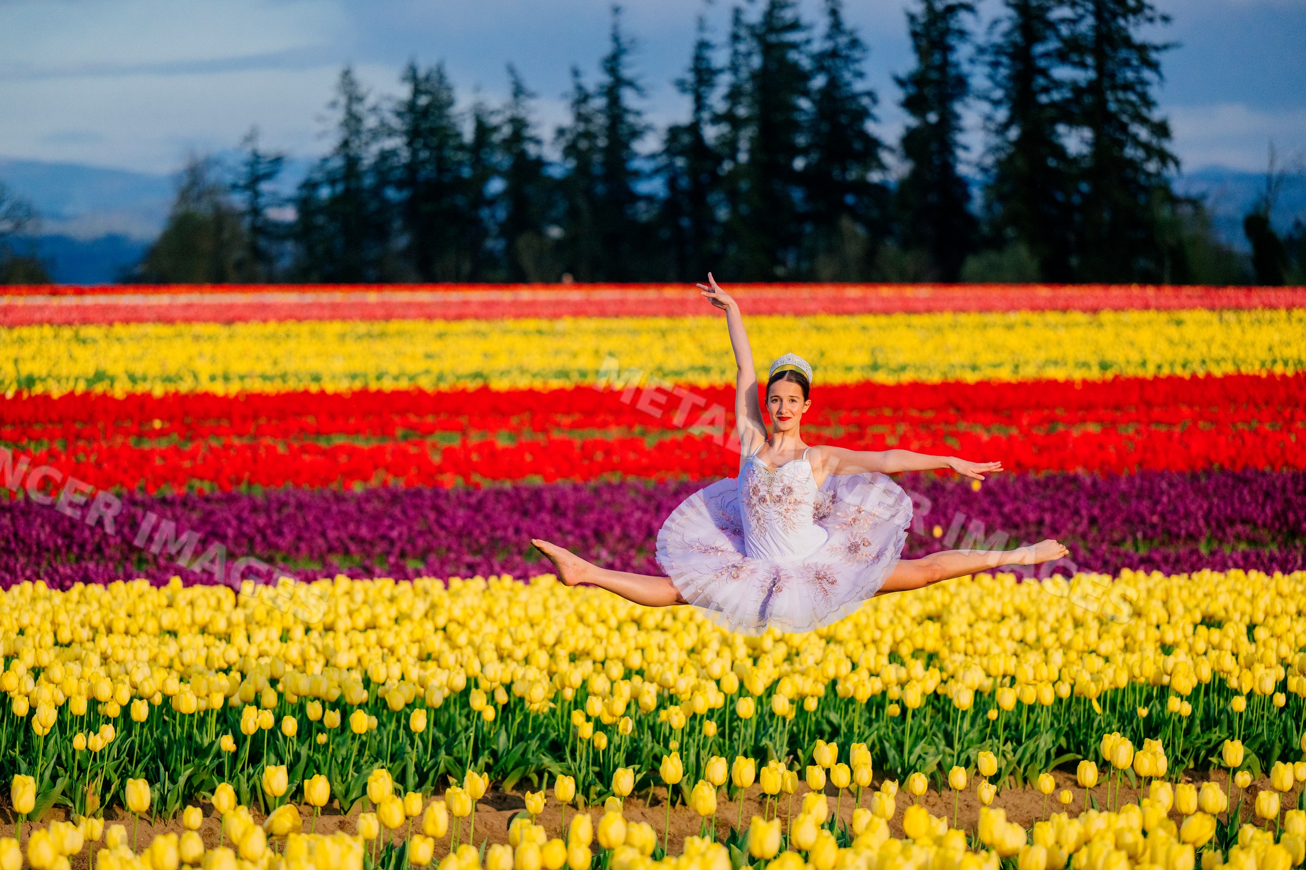 Ballet white dancer performing mid-air leap over vibrant tulip field