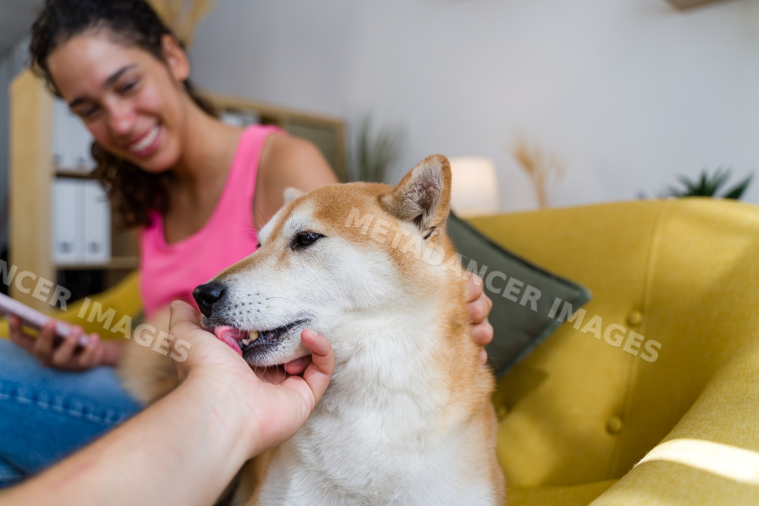 A dog licking a hand in a cozy living room setting