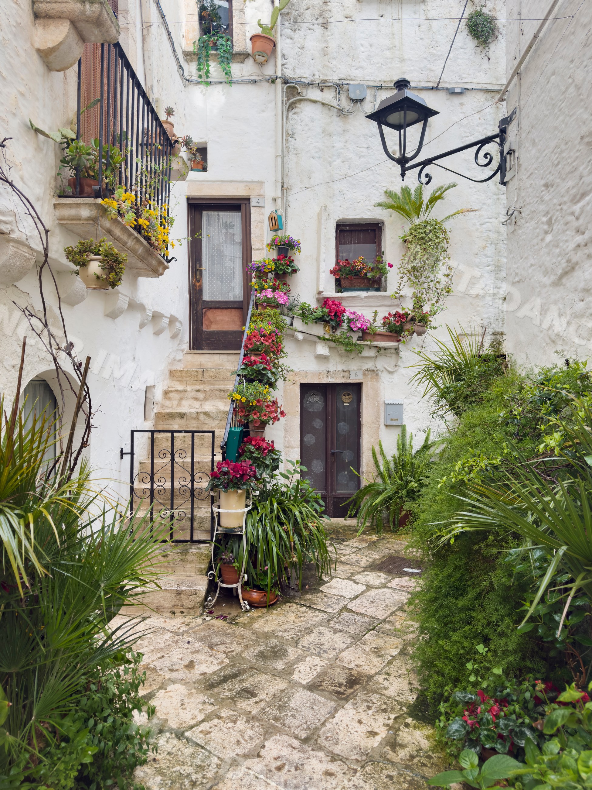 Street Scene with flower pots and stone pavement in Locorotondo, Italy