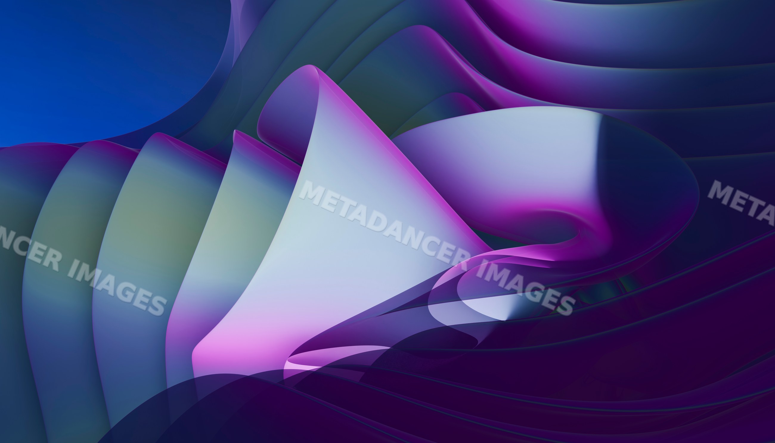 Abstract digital 3d rendering of fluid purple and blue curves