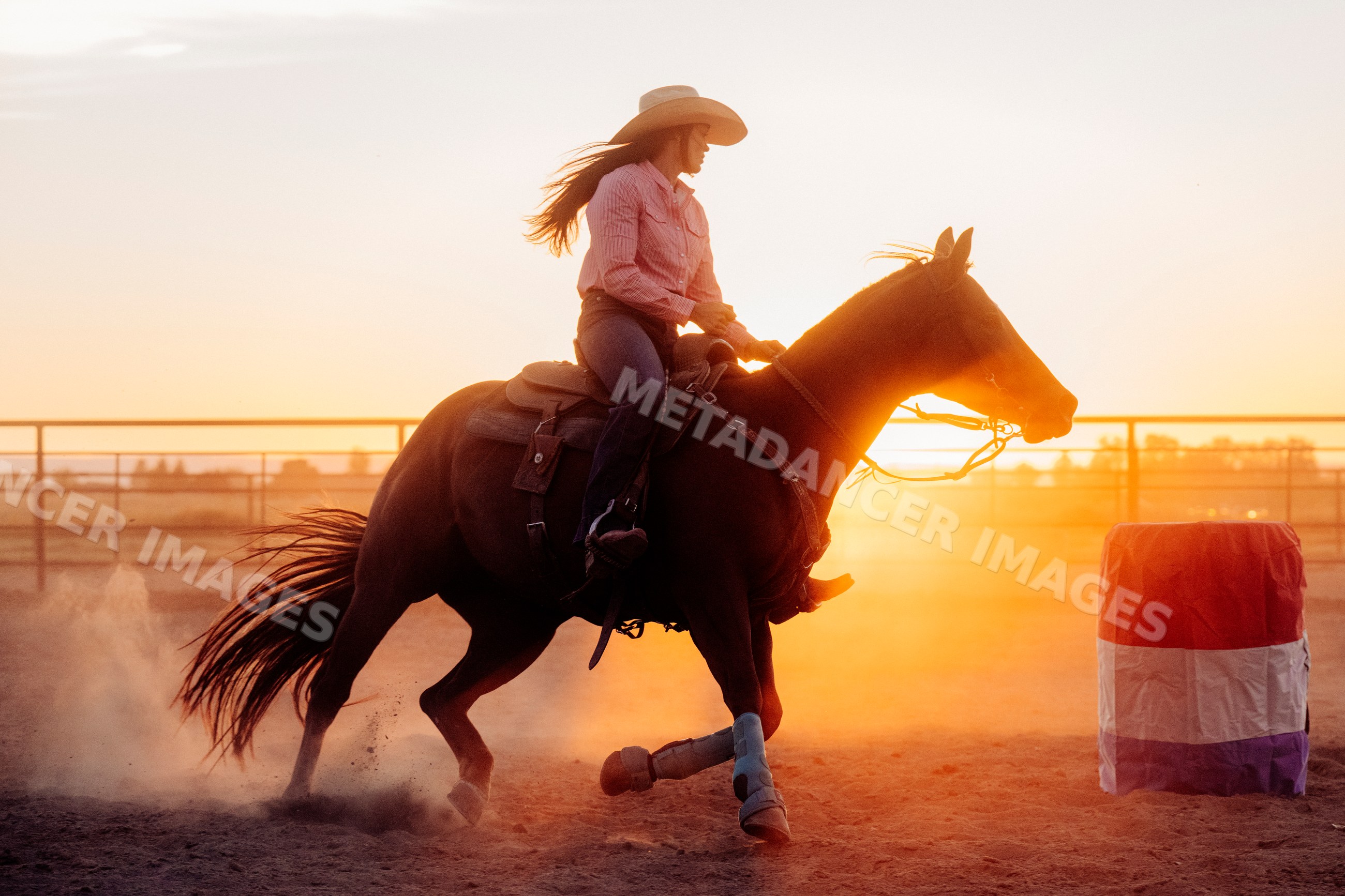 White woman riding horse near barrel at sunset in Southwest USA rodeo