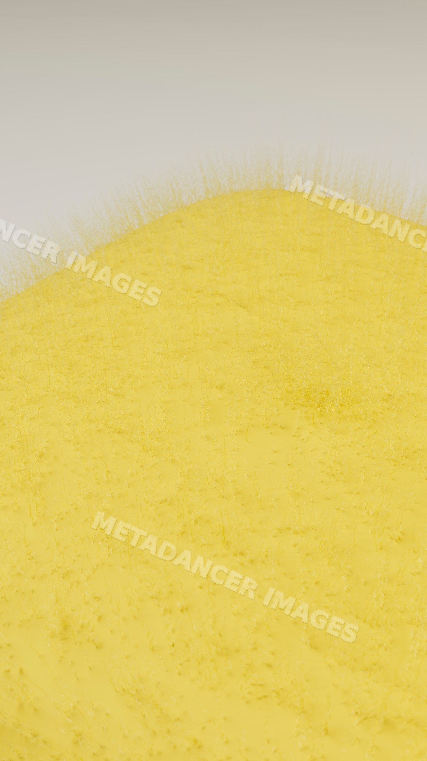 Yellow field with grass and plants outdoors