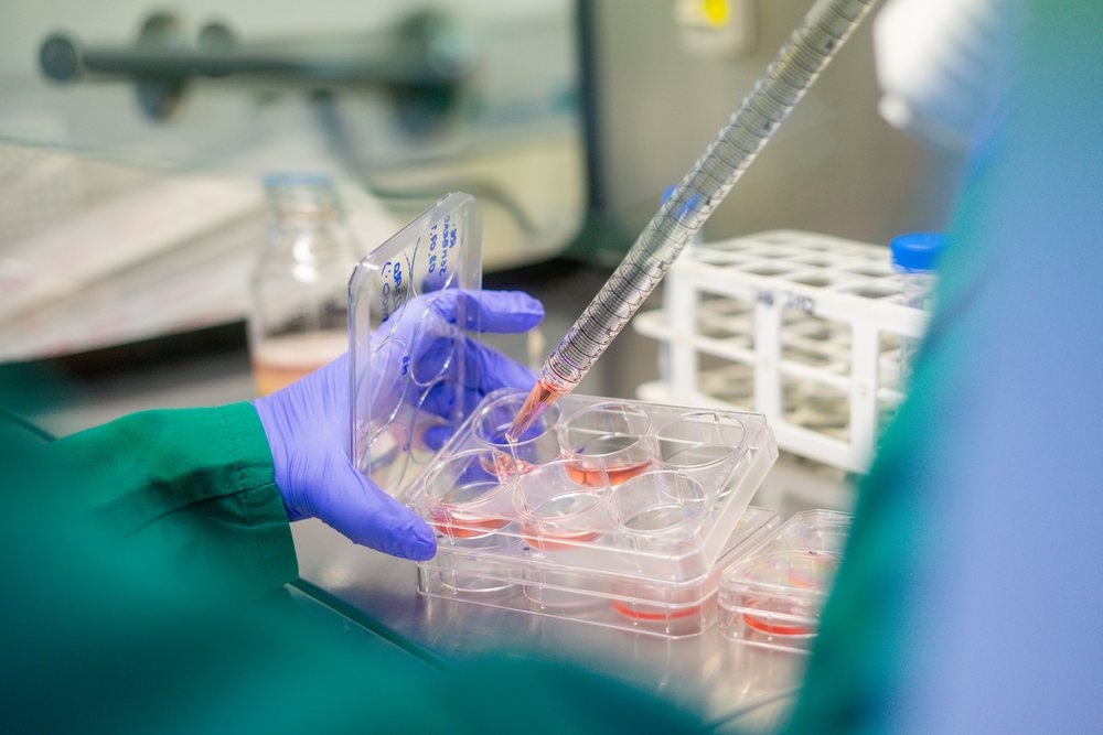 Scientist using pipette to transfer liquid in culture plate