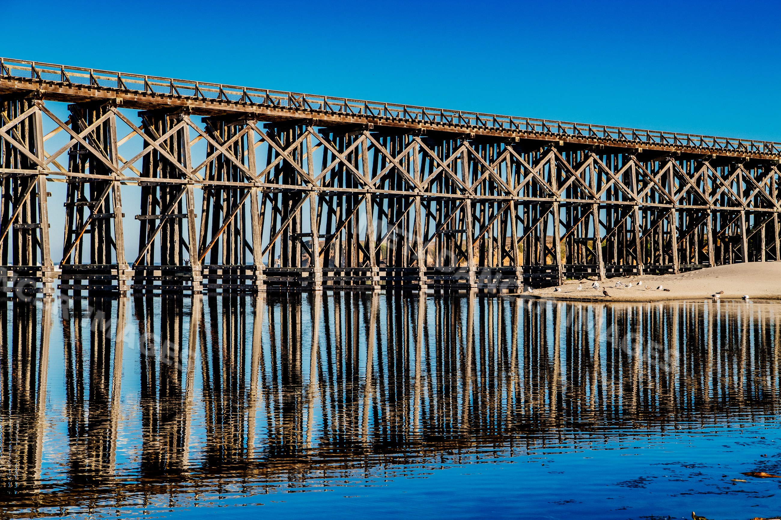 Wooden pier reflected in calm water with seagulls on sandy shore