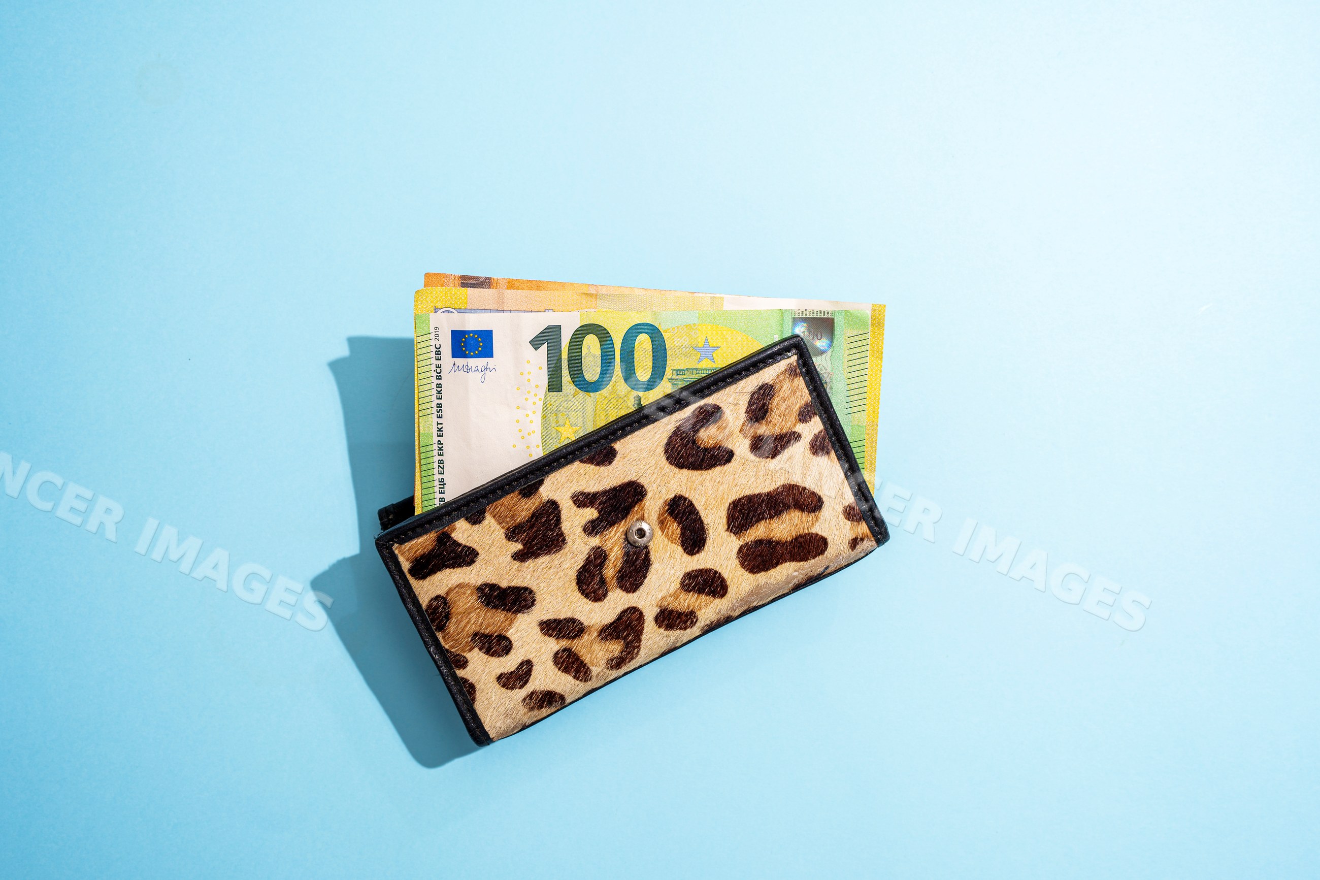 Leopard print wallet with euro banknotes on blue background