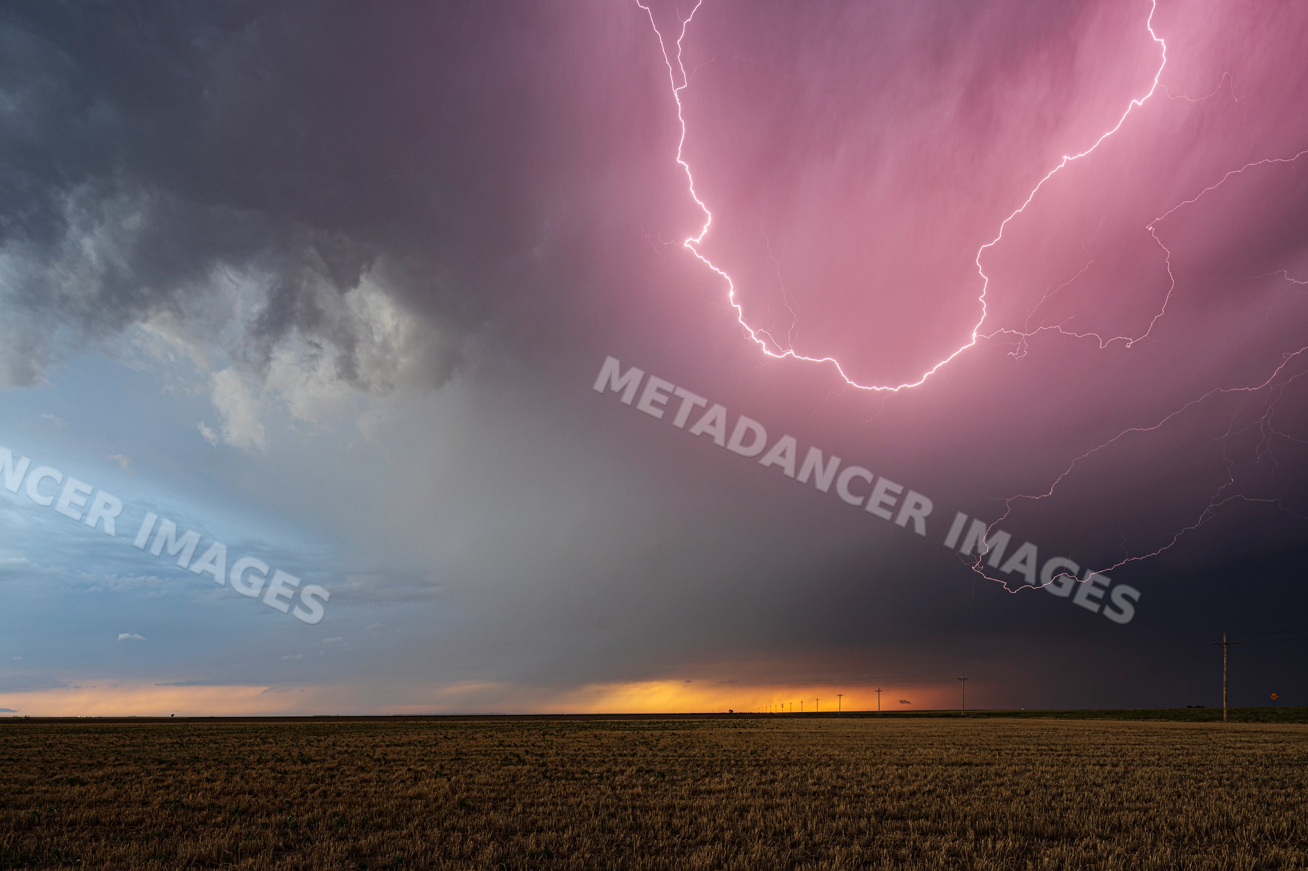 Lightning striking over a stormy field at sunset in ulysses, kansas