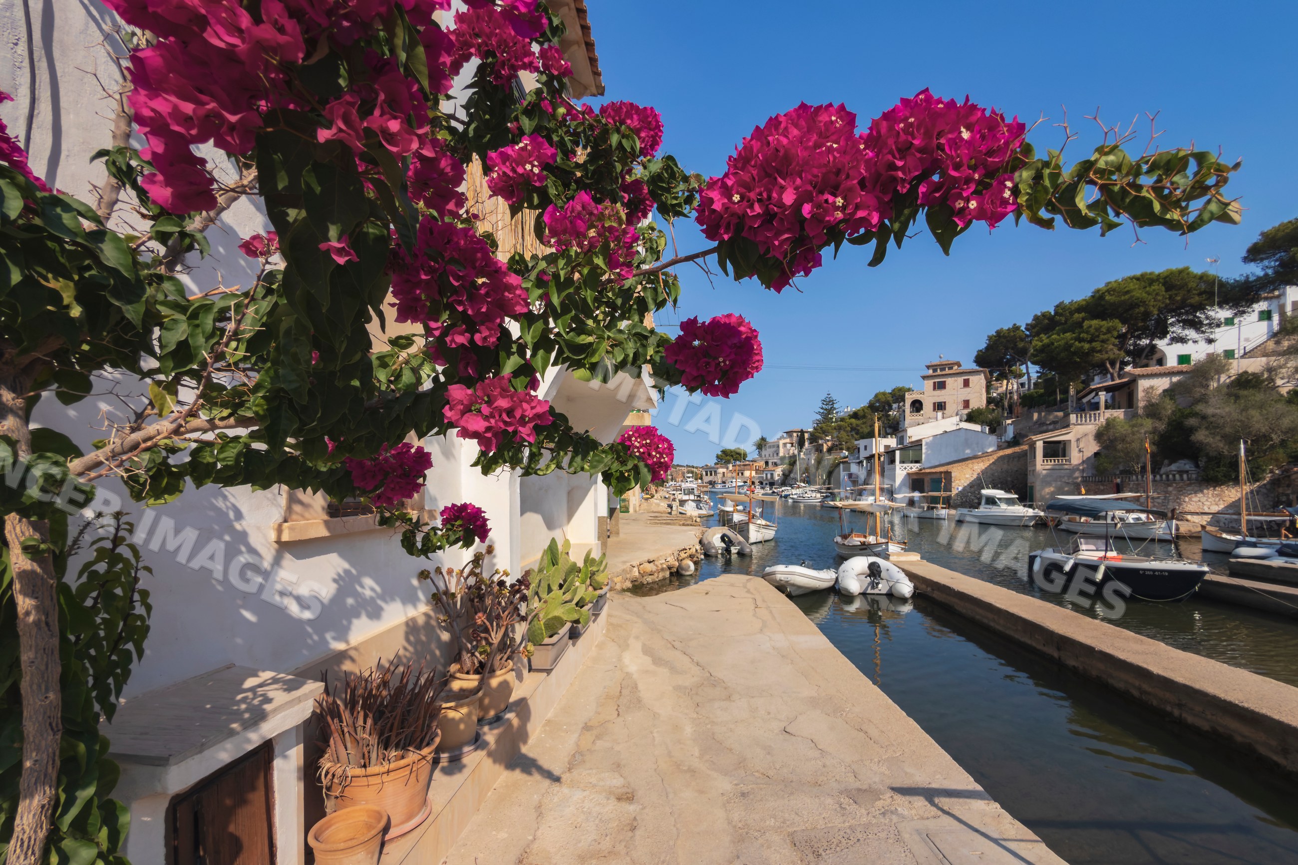 Harbor in Cala Figuera with boats and blooming bougainvillea
