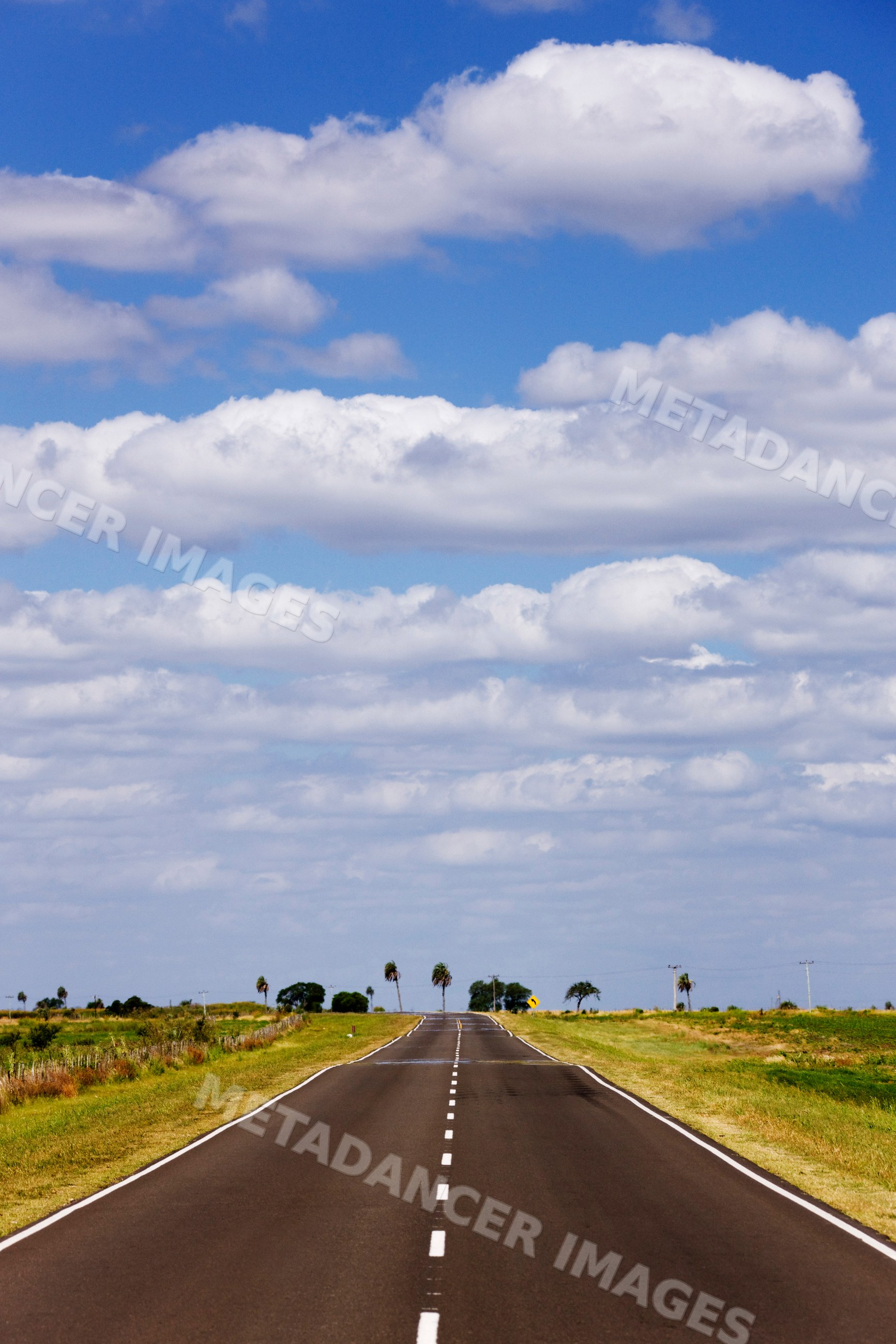 Long empty paved road stretching through grassland, argentina