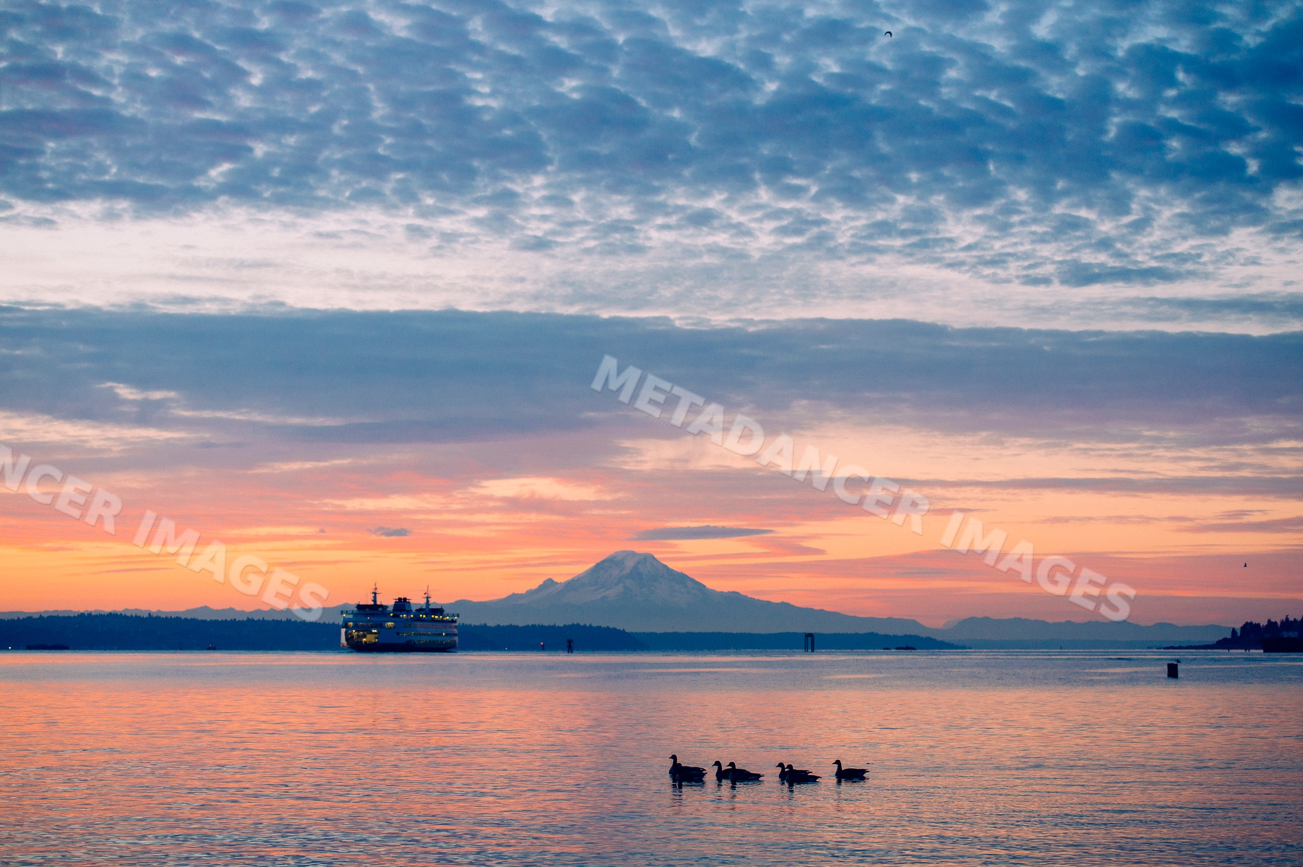Ferry crossing calm waters