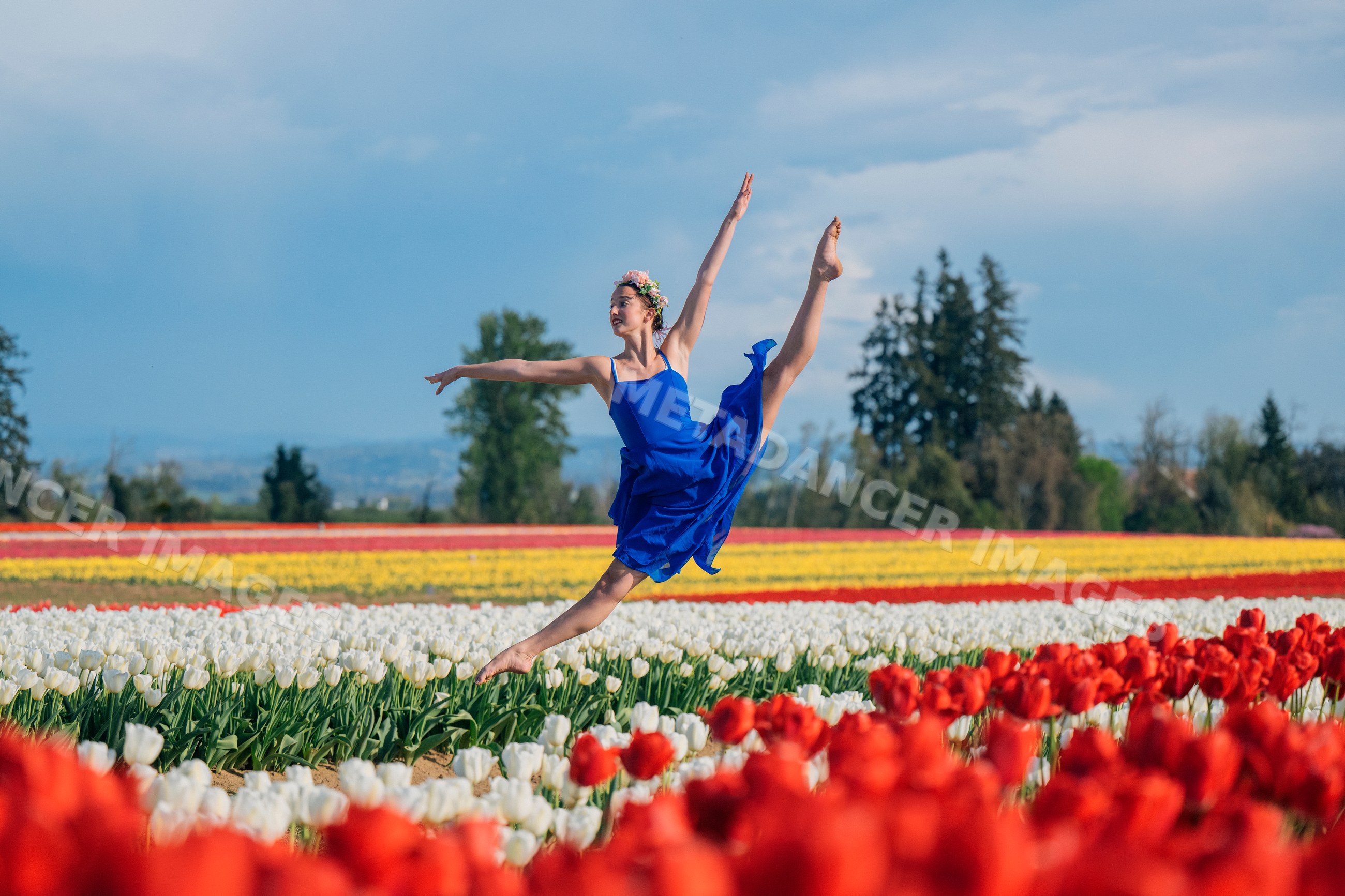 Ballet white dancer leaping through colorful tulip field outdoors