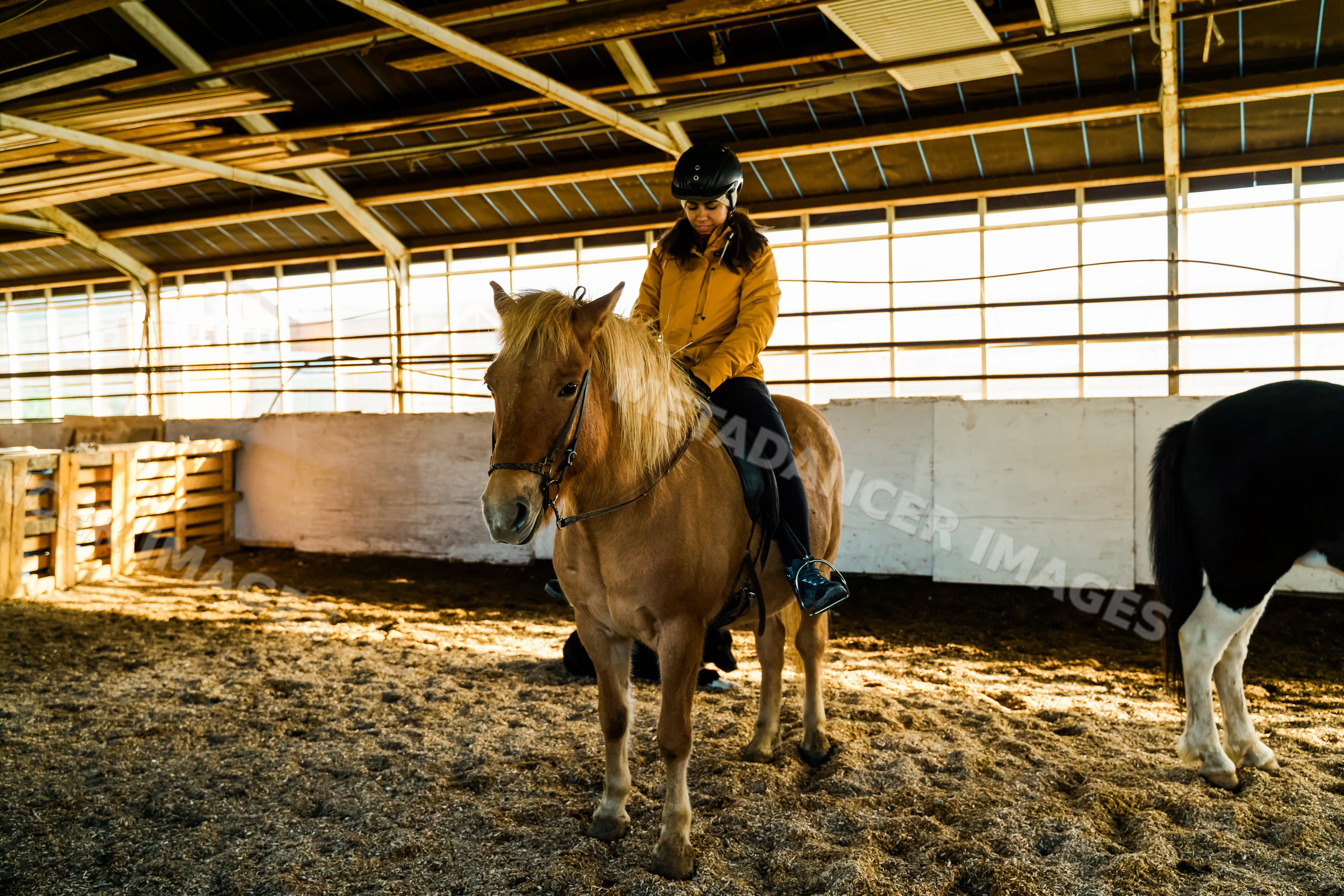 A white girl rides a brown horse in an indoor riding arena