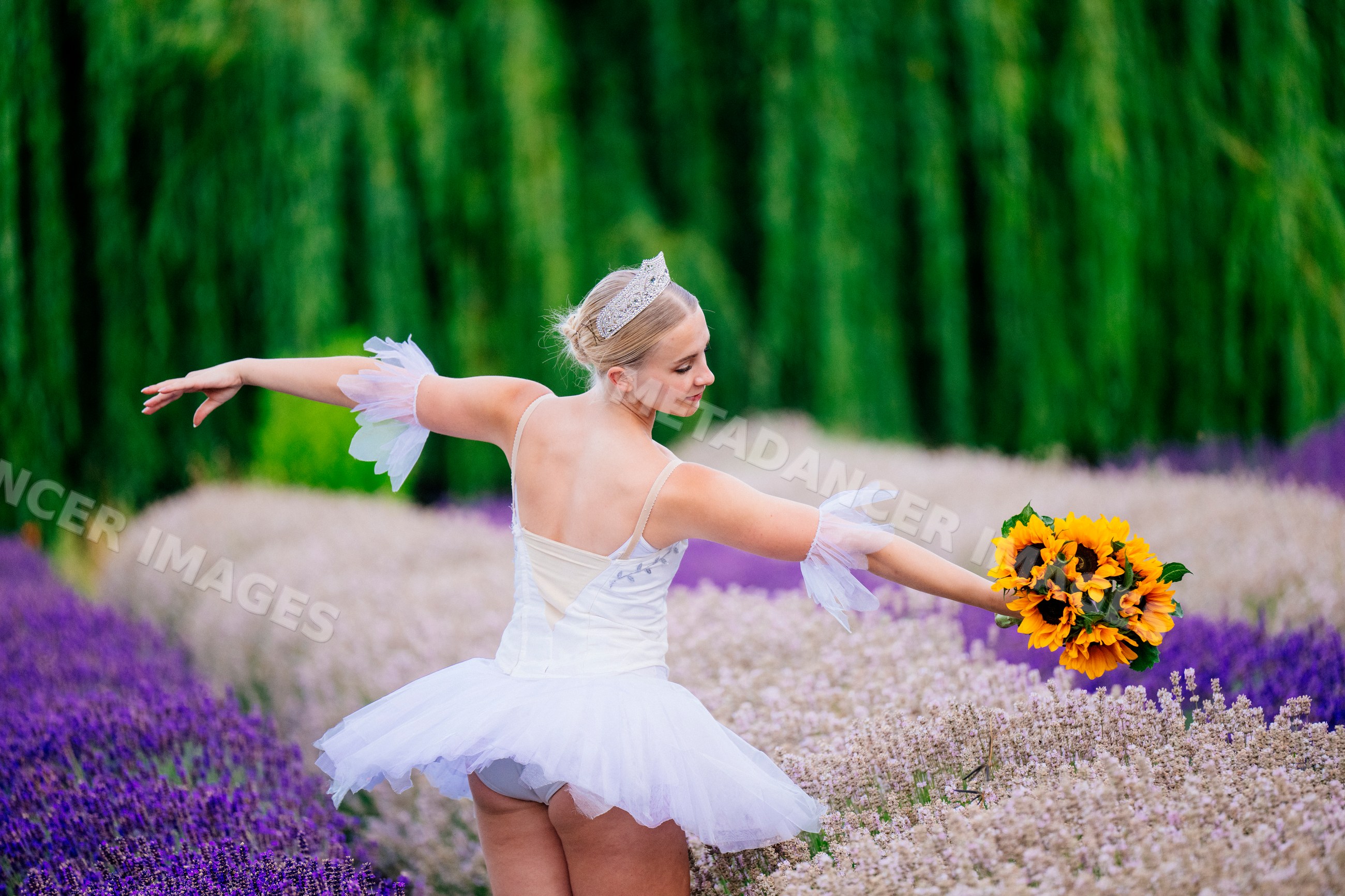 A ballerina holds sunflowers