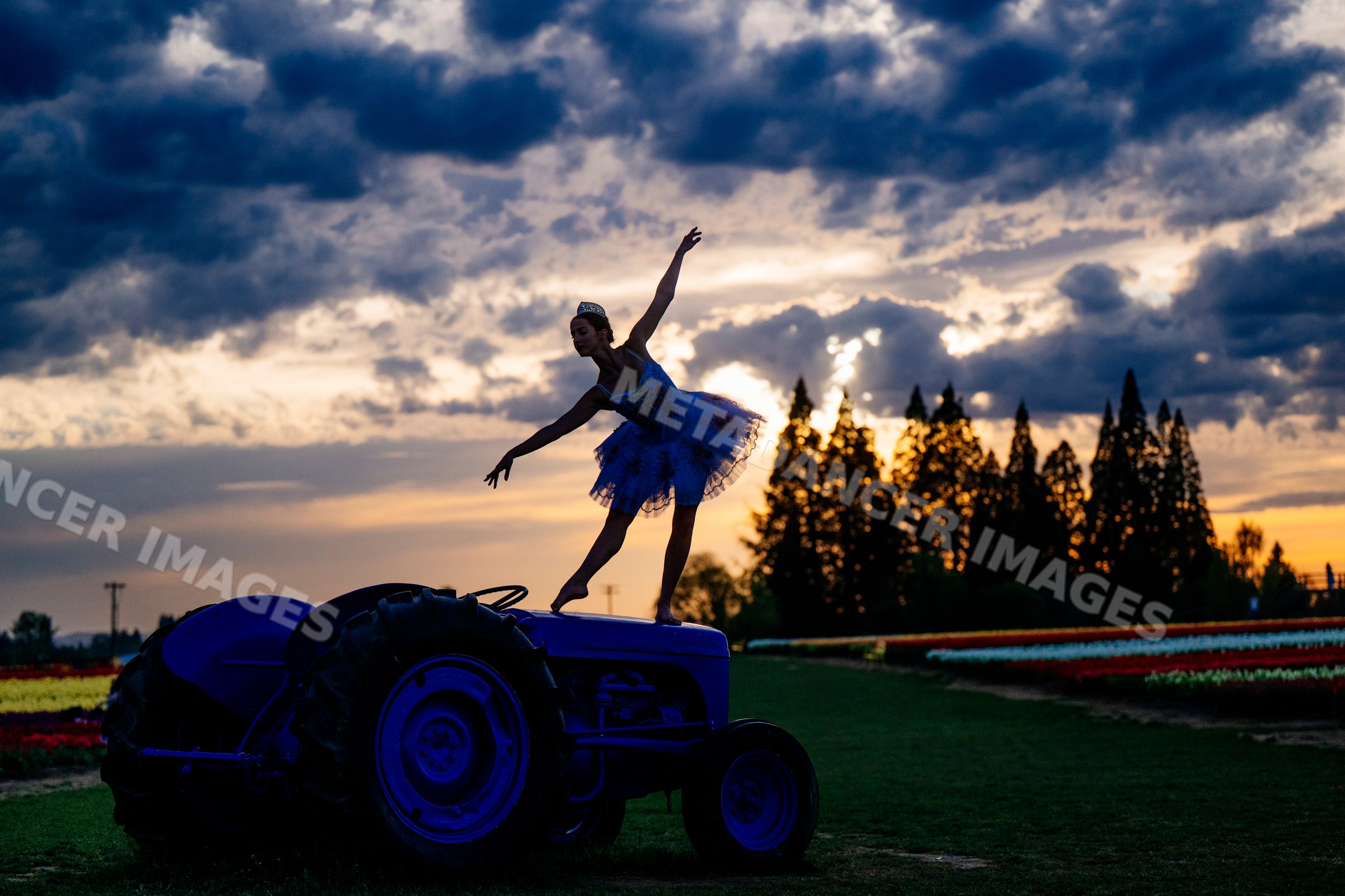 Ballet white dancer balancing on tractor in sunset field