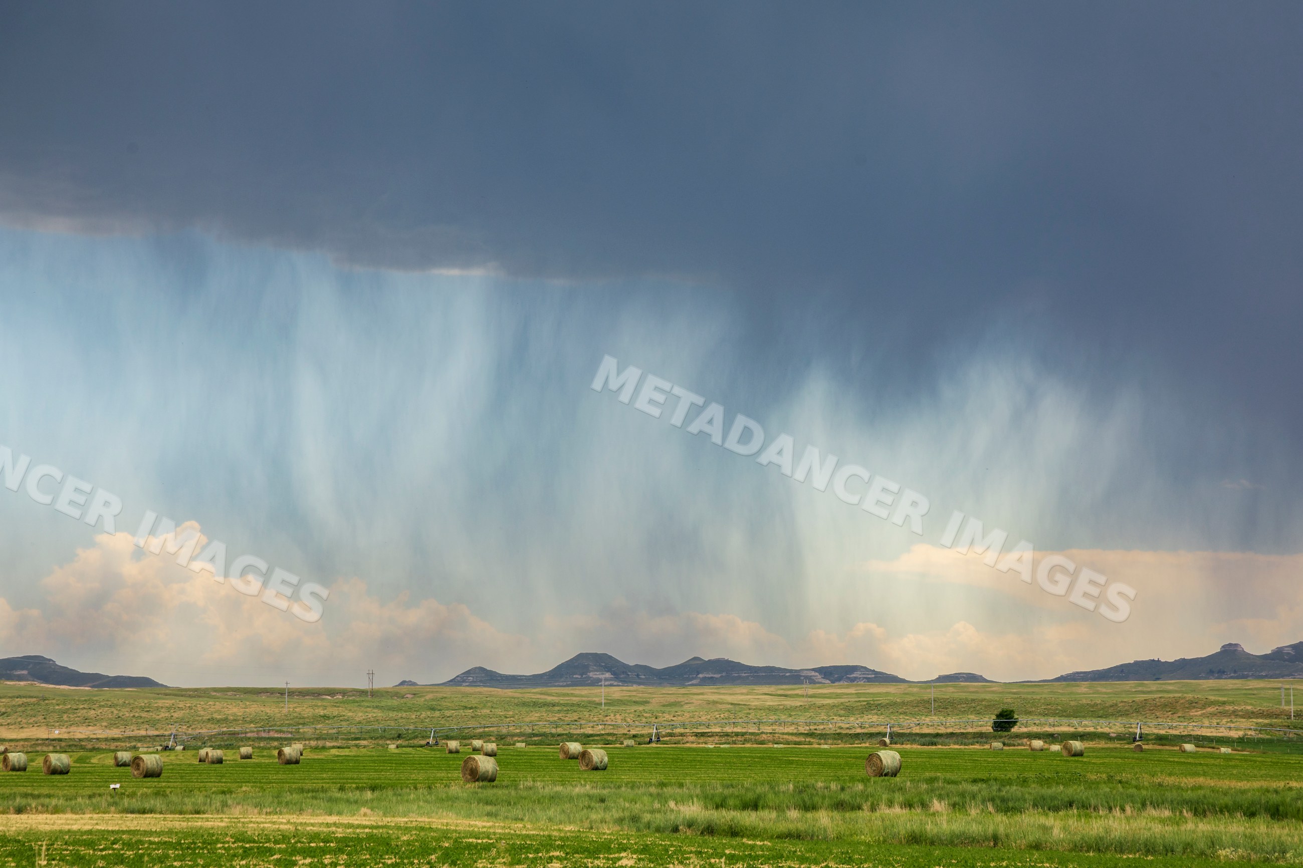 Rain curtain falling over green hay bales scattered across grassland