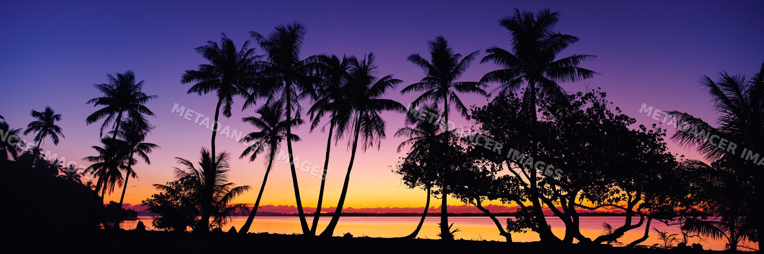 Sunset with silhouetted palm trees over water polynesia