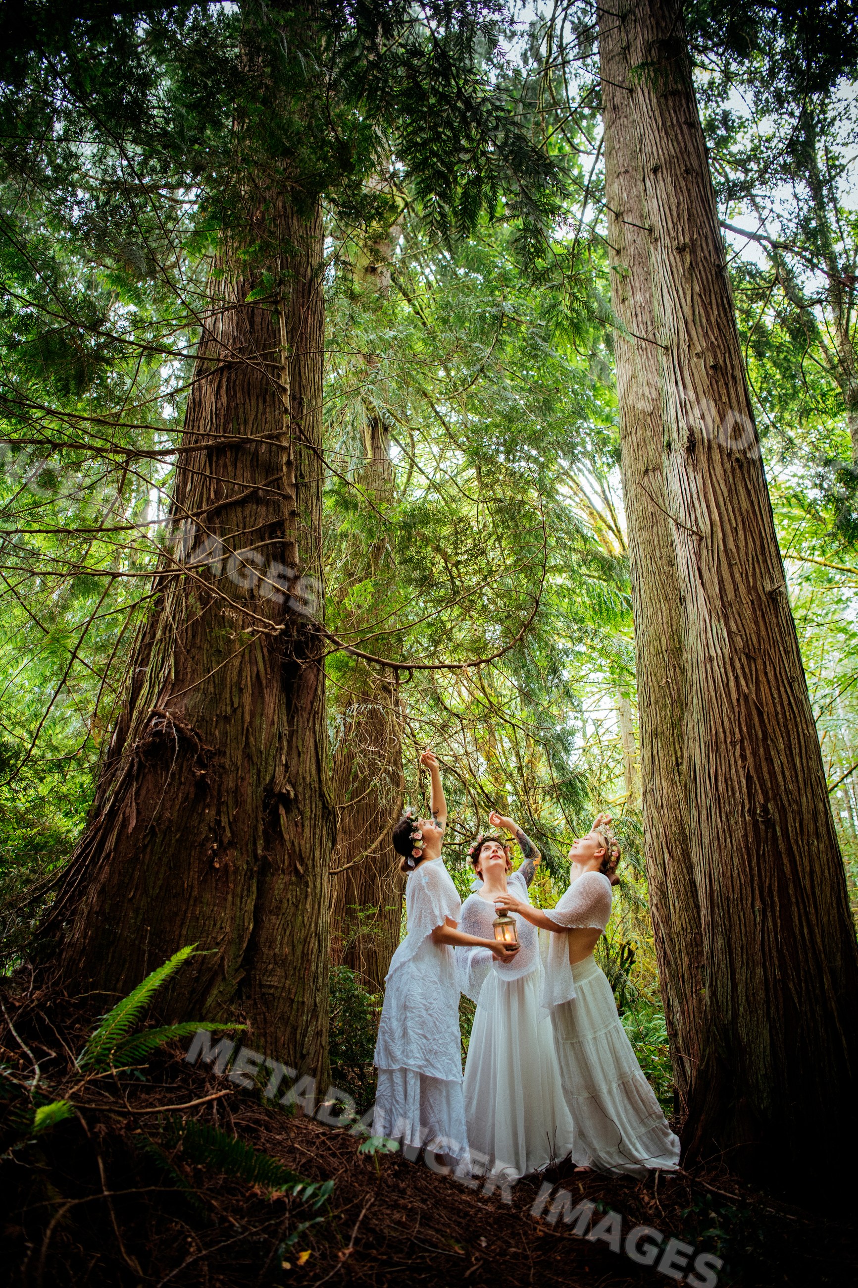 Three women in white dresses holding lantern in forest in USA