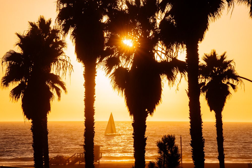 Palm trees silhouetted at sunset with sailboat on ocean in Santa