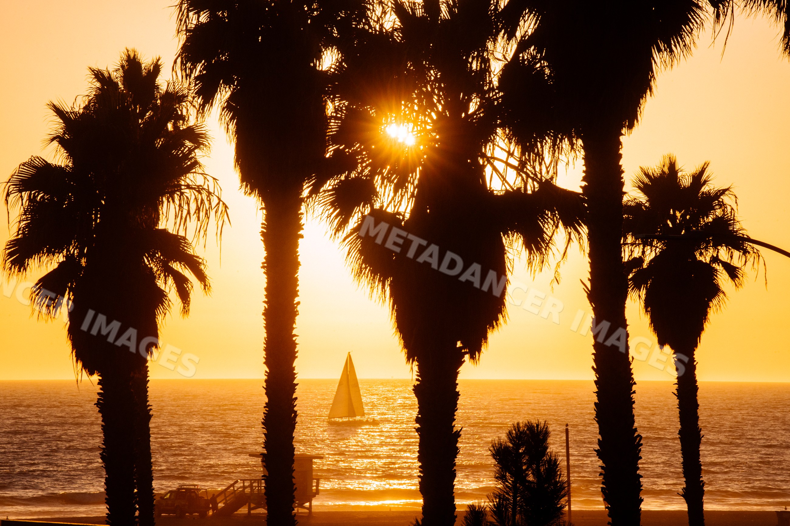 Palm trees silhouetted at sunset with sailboat on ocean in Santa