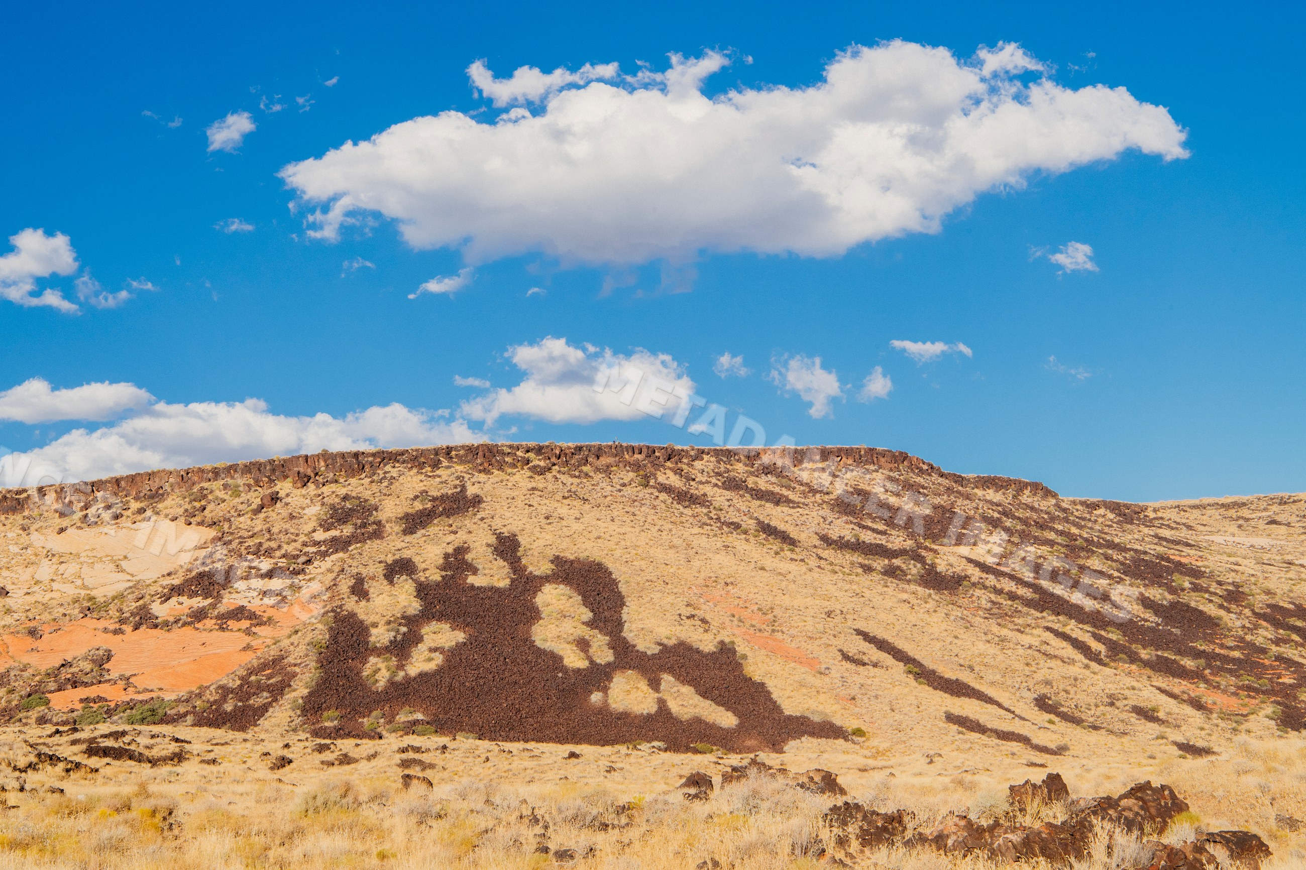 Red Cliffs Desert State Park rock cliffs and dry grass under blue sky