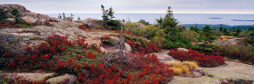 Scenic rocky landscape with autumn foliage